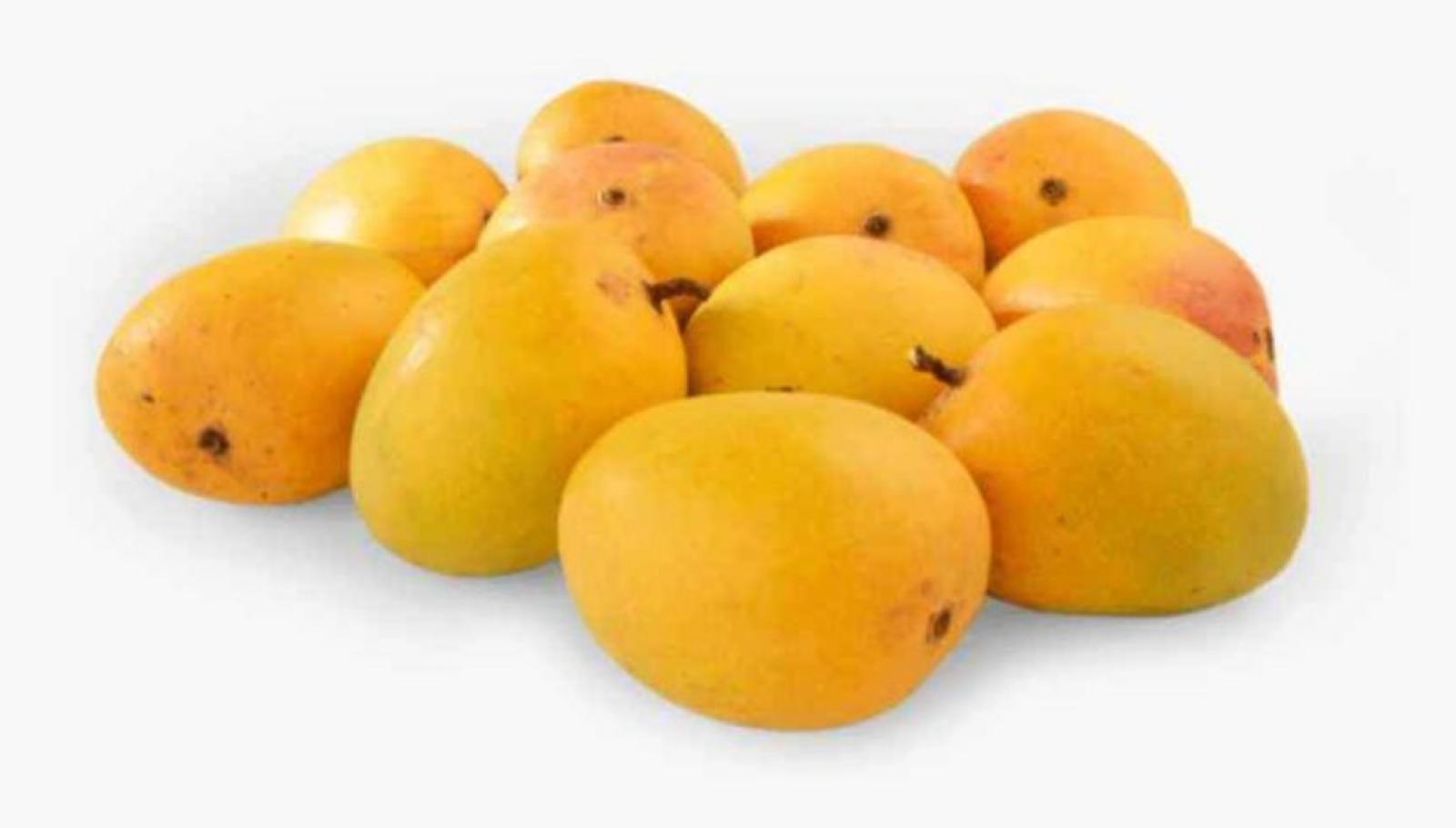 Alphonso Mango - Hapus (Sydney)