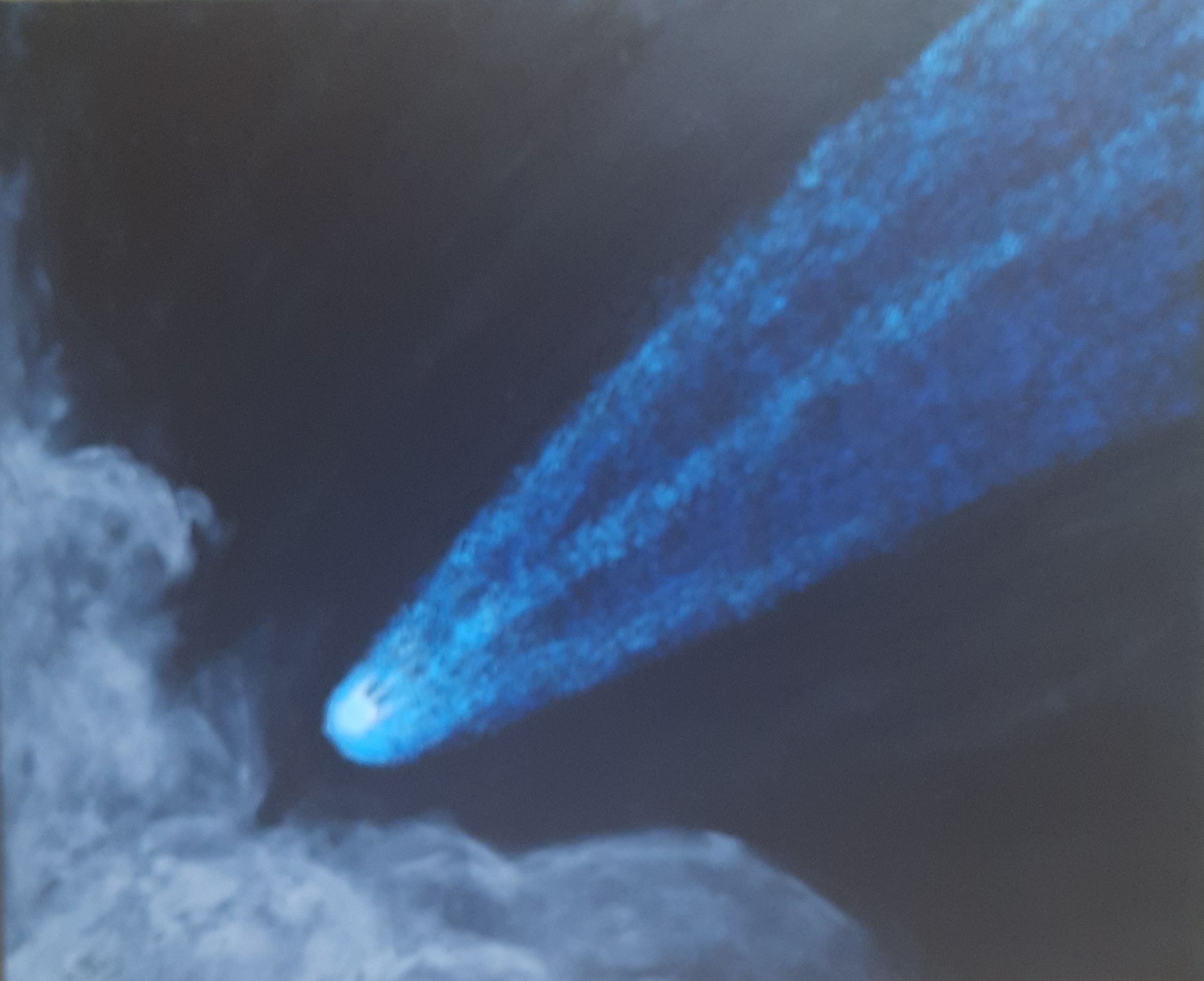 THE ROAMING COMET  ( On canvas)