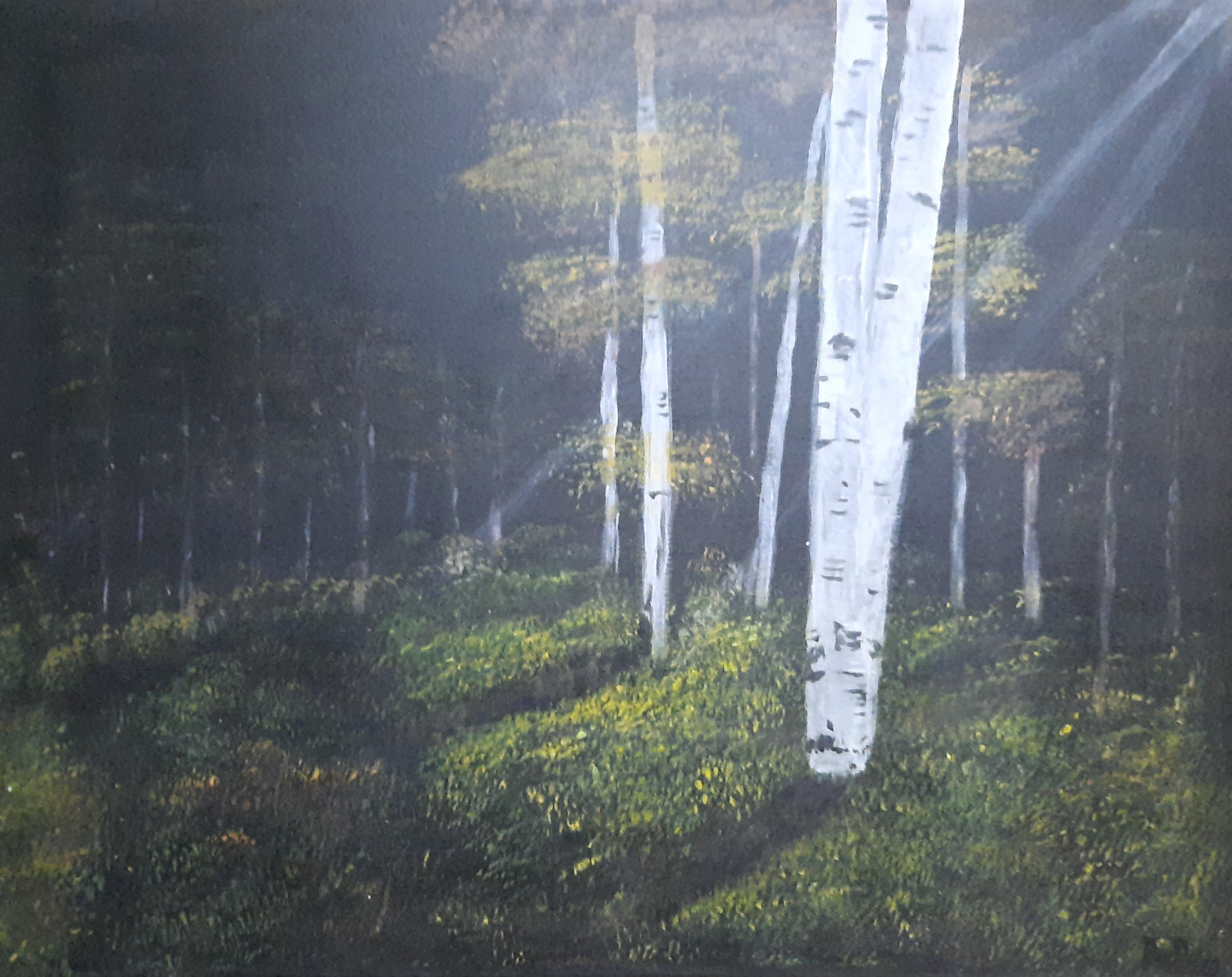    "IRISH BOREEN" (canvas)