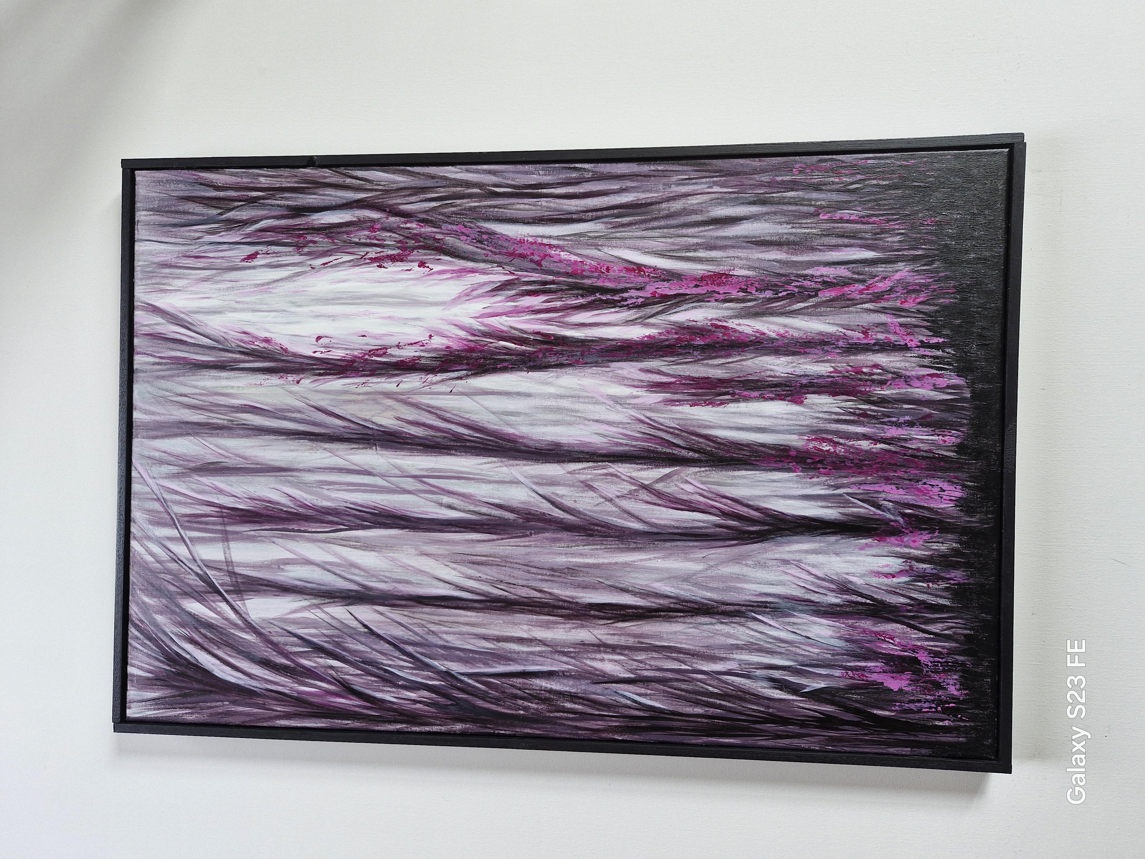 Magenta Lights