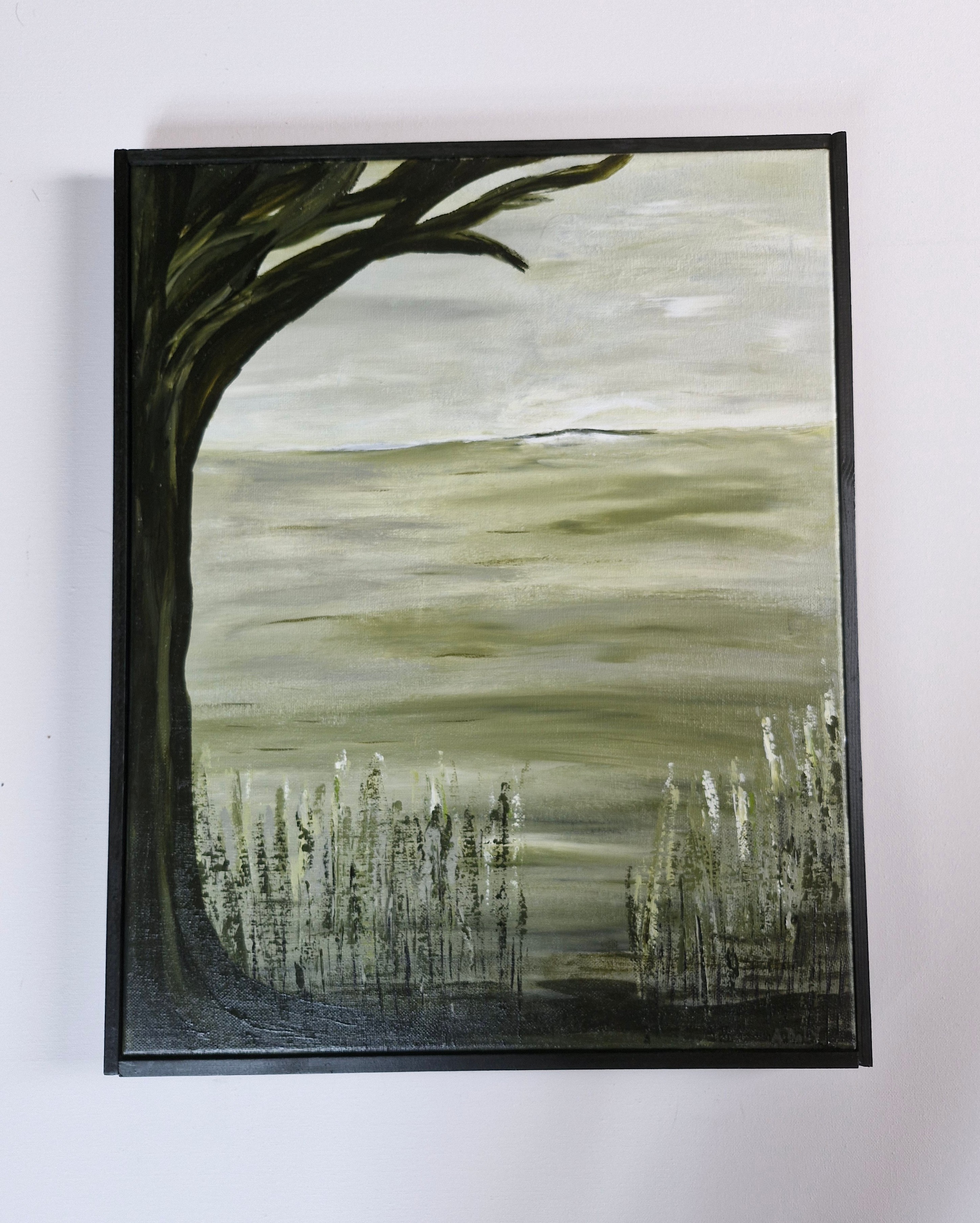 Distant Shores