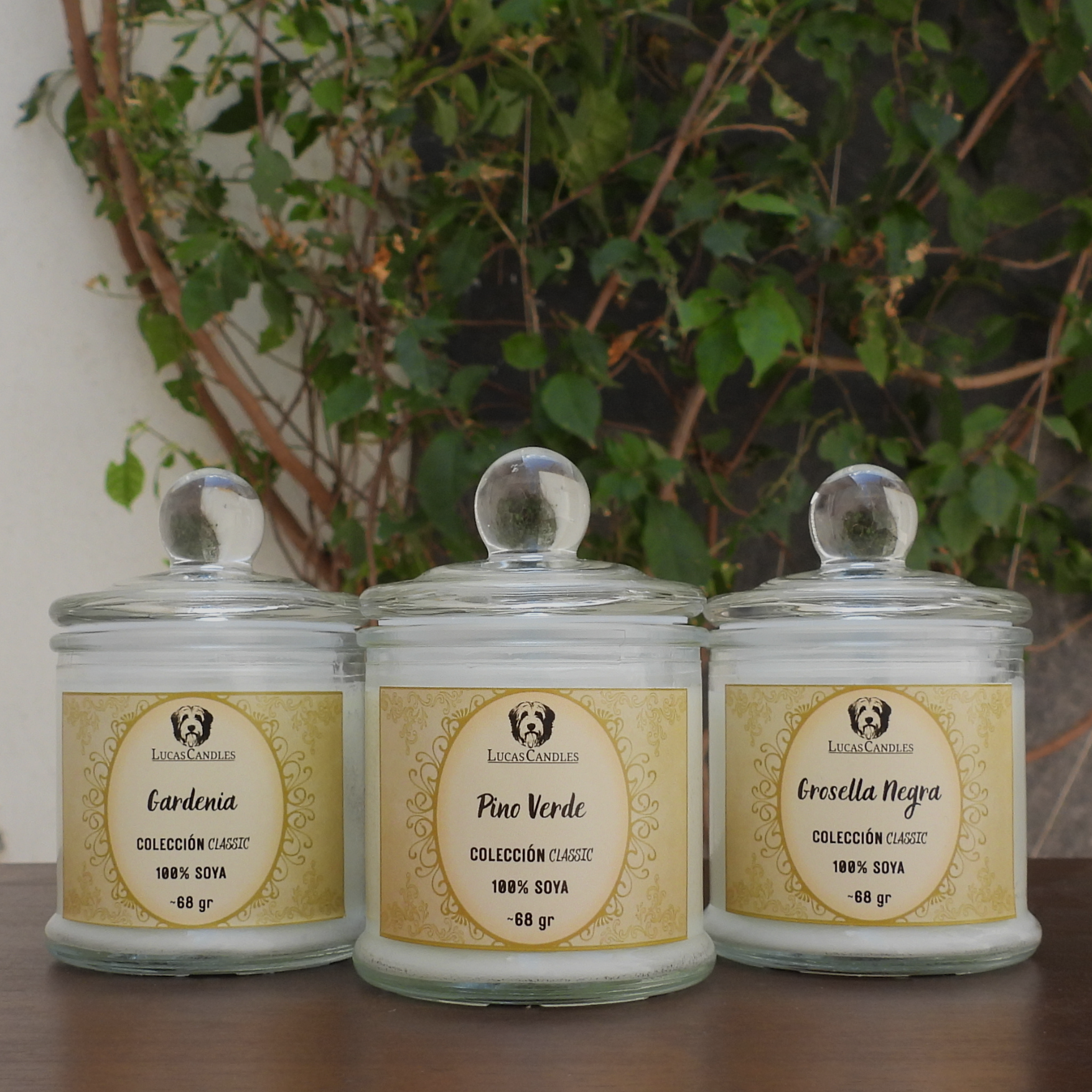 Kit Classic Petite 