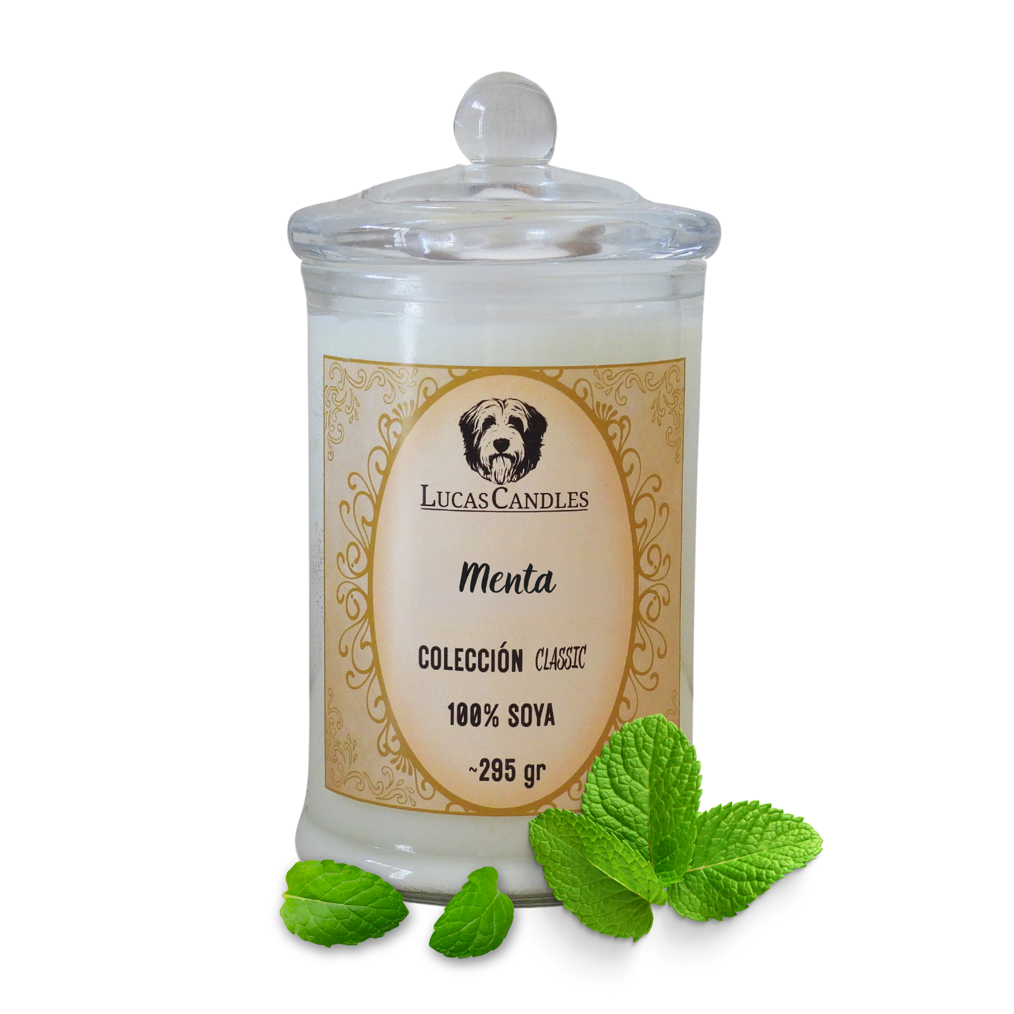 Menta