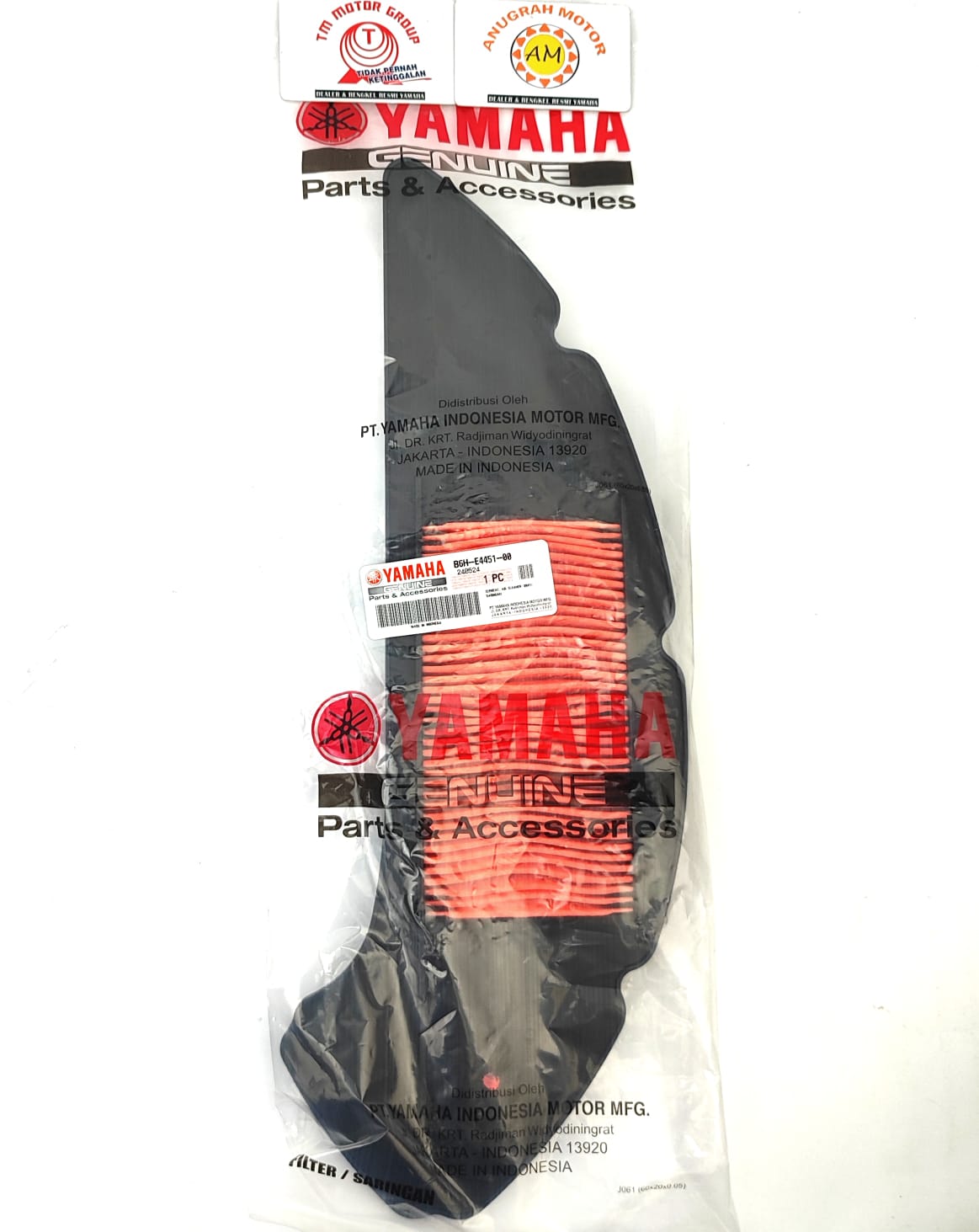 FILTER UDARA B6H