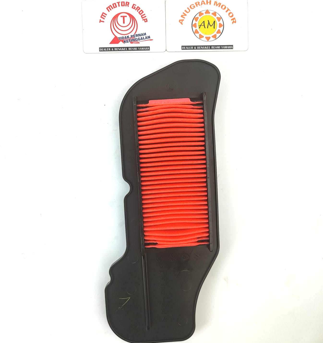 FILTER UDARA 54P