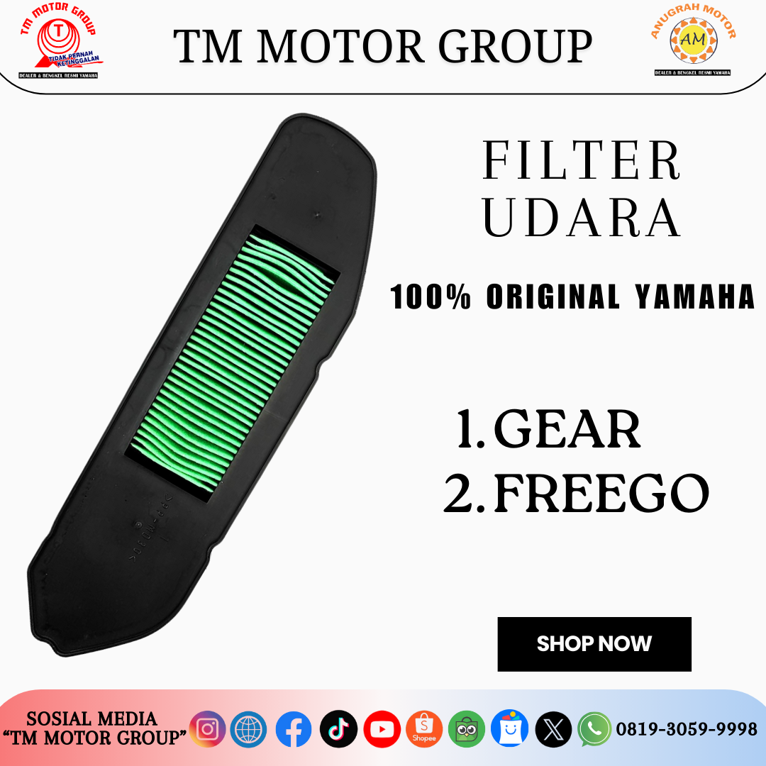 FILTER UDARA B5D