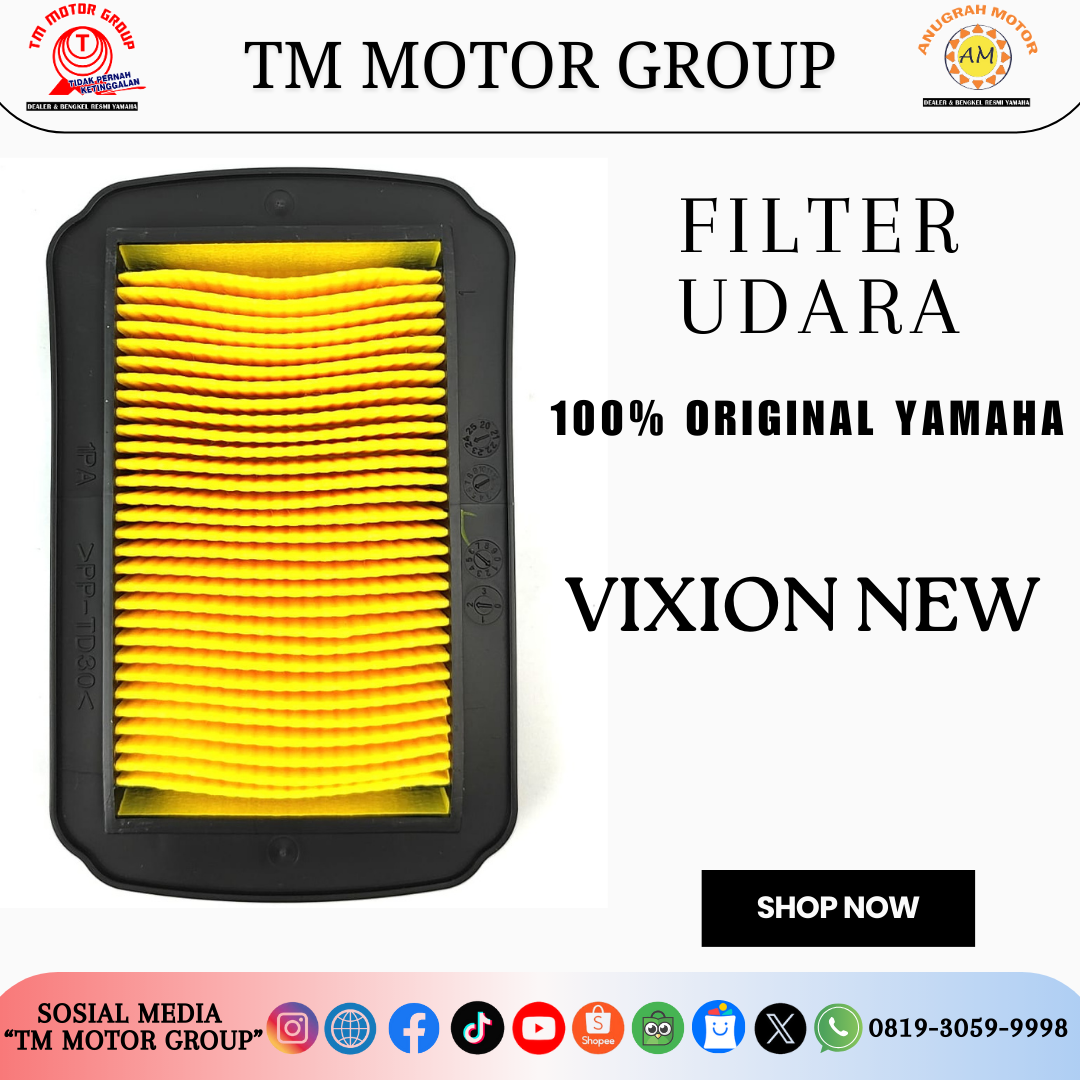 FILTER UDARA 1PA