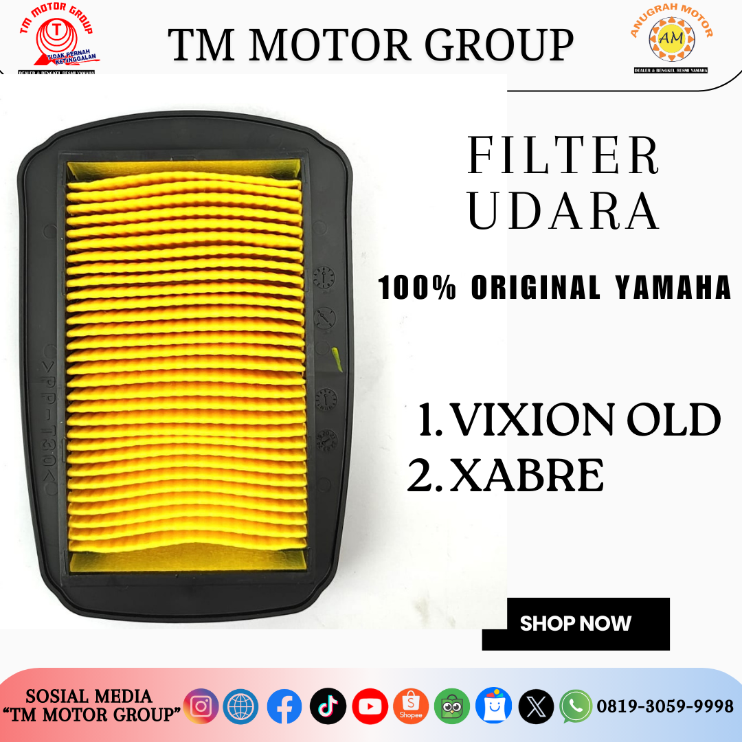 FILTER UDARA 3C1