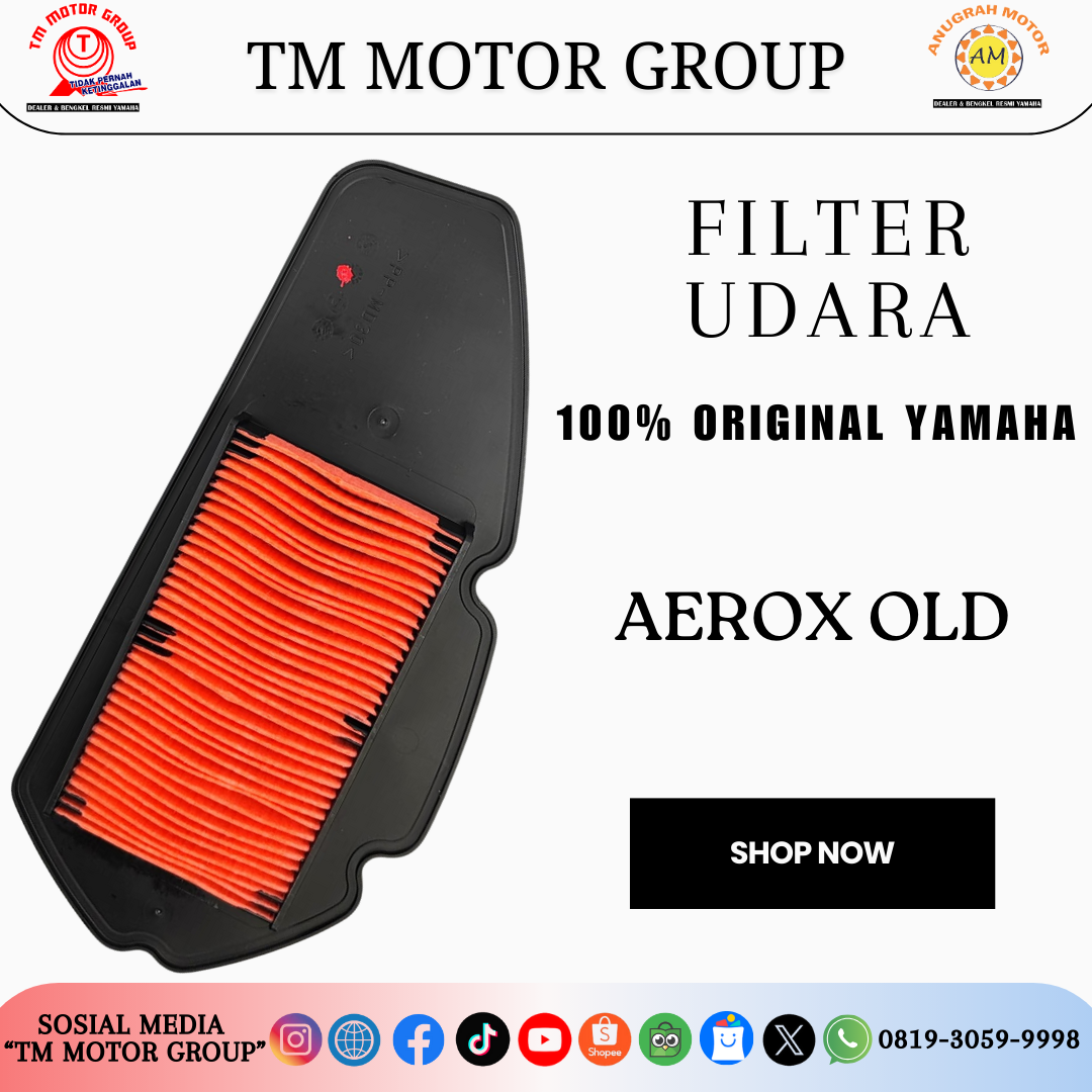 FILTER UDARA B65