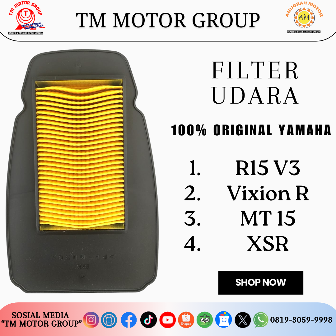 FILTER UDARA BK6