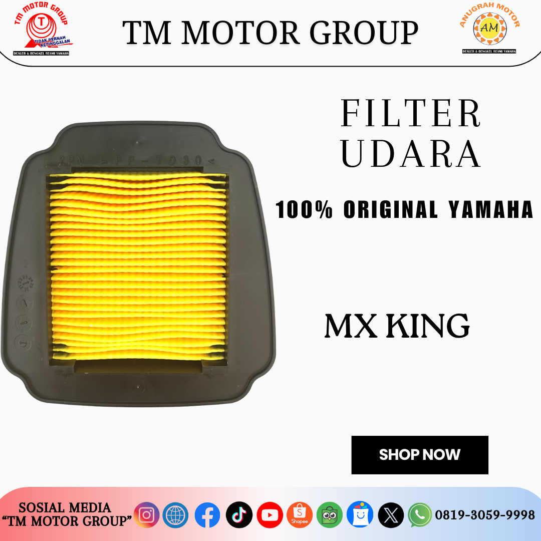 FILTER UDARA 2PV