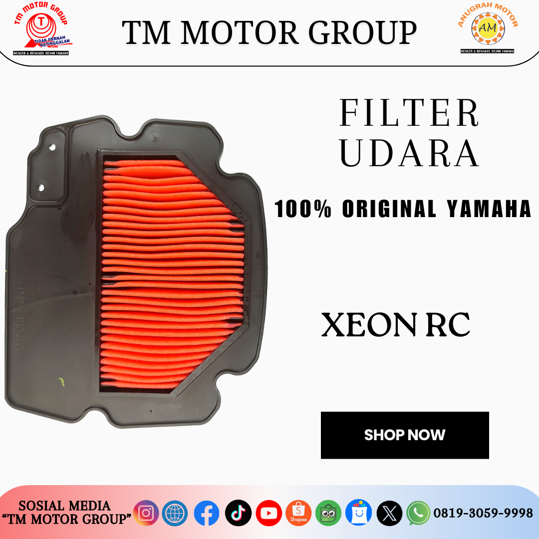 FILTER UDARA 1LB