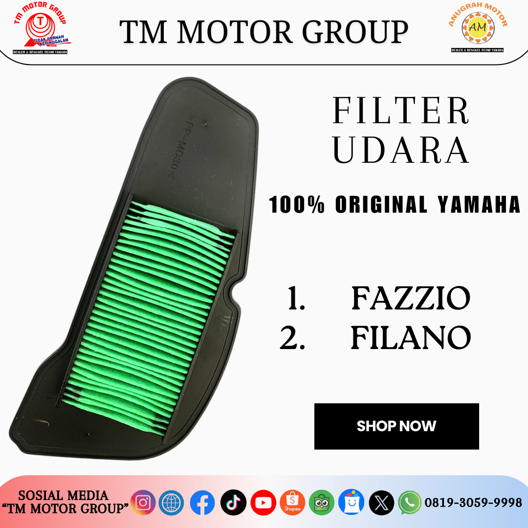 FILTER UDARA BEJ