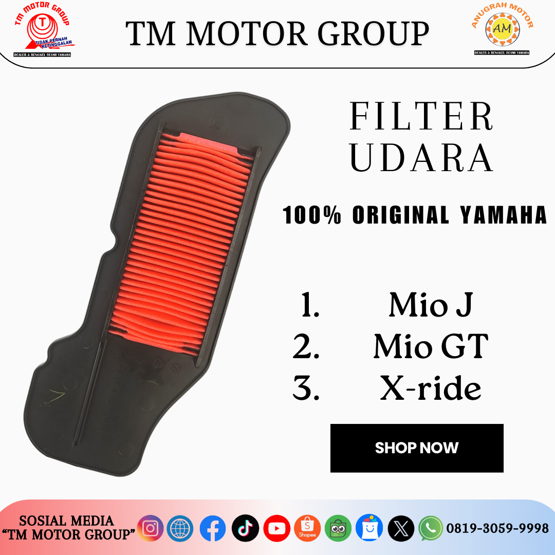 FILTER UDARA 54P