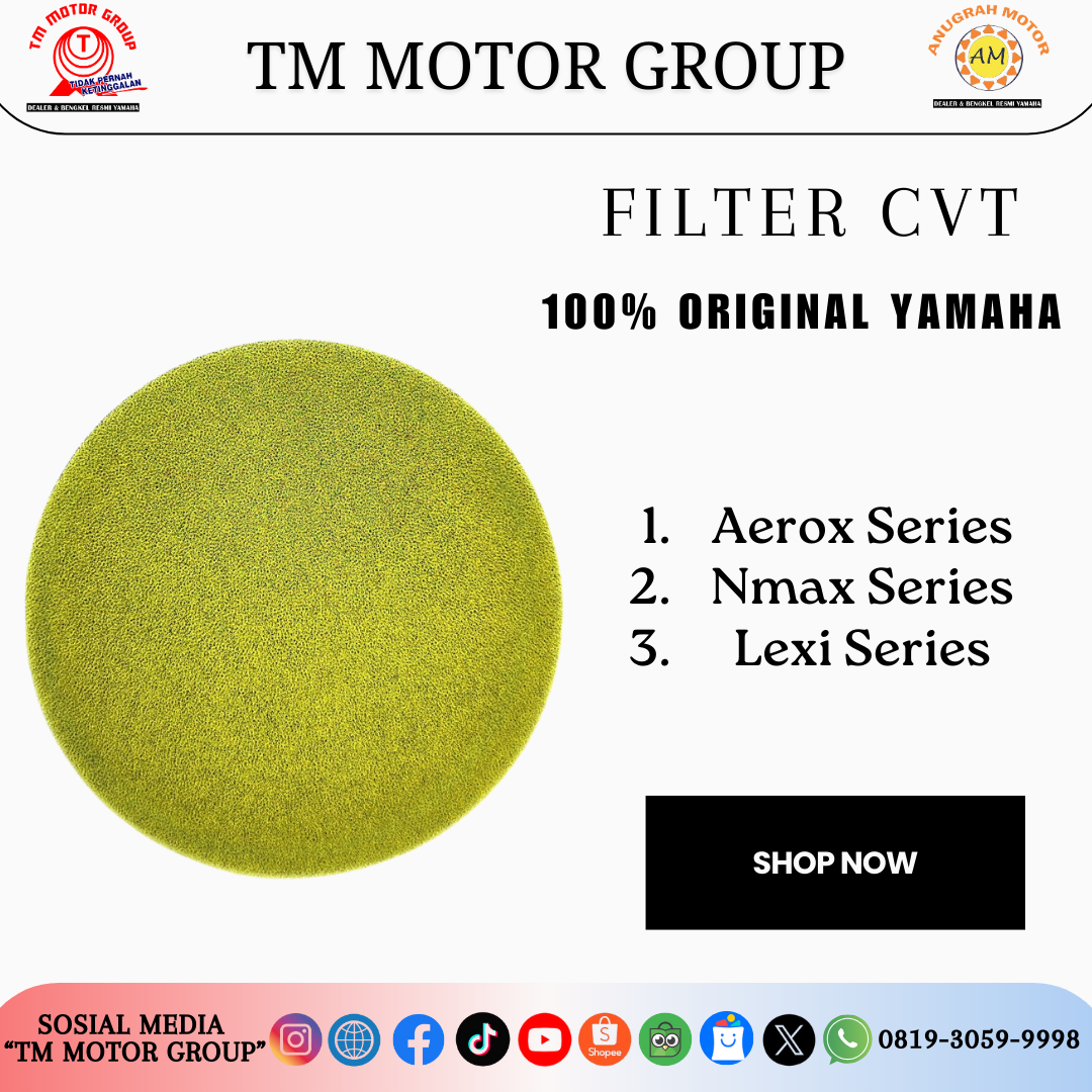 BUSA FILTER CVT 2DP