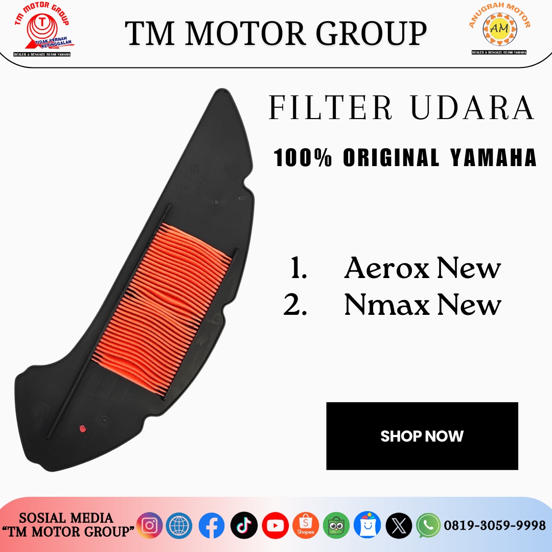 FILTER UDARA B6H