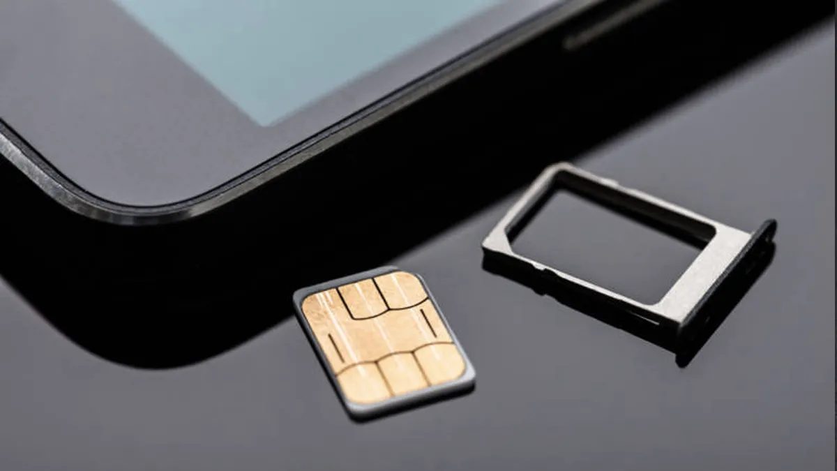 Physical Sim