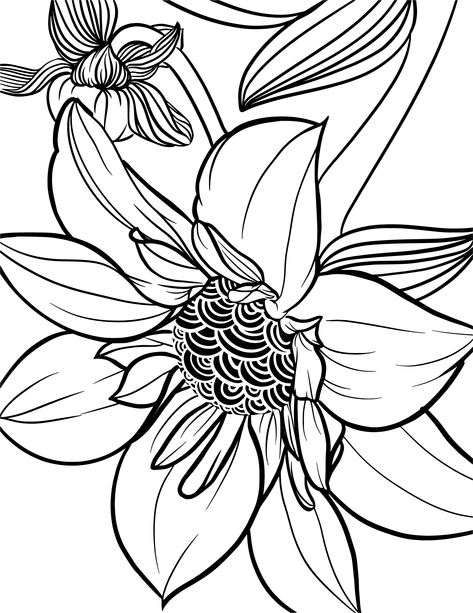 Relaxing Coloring Book