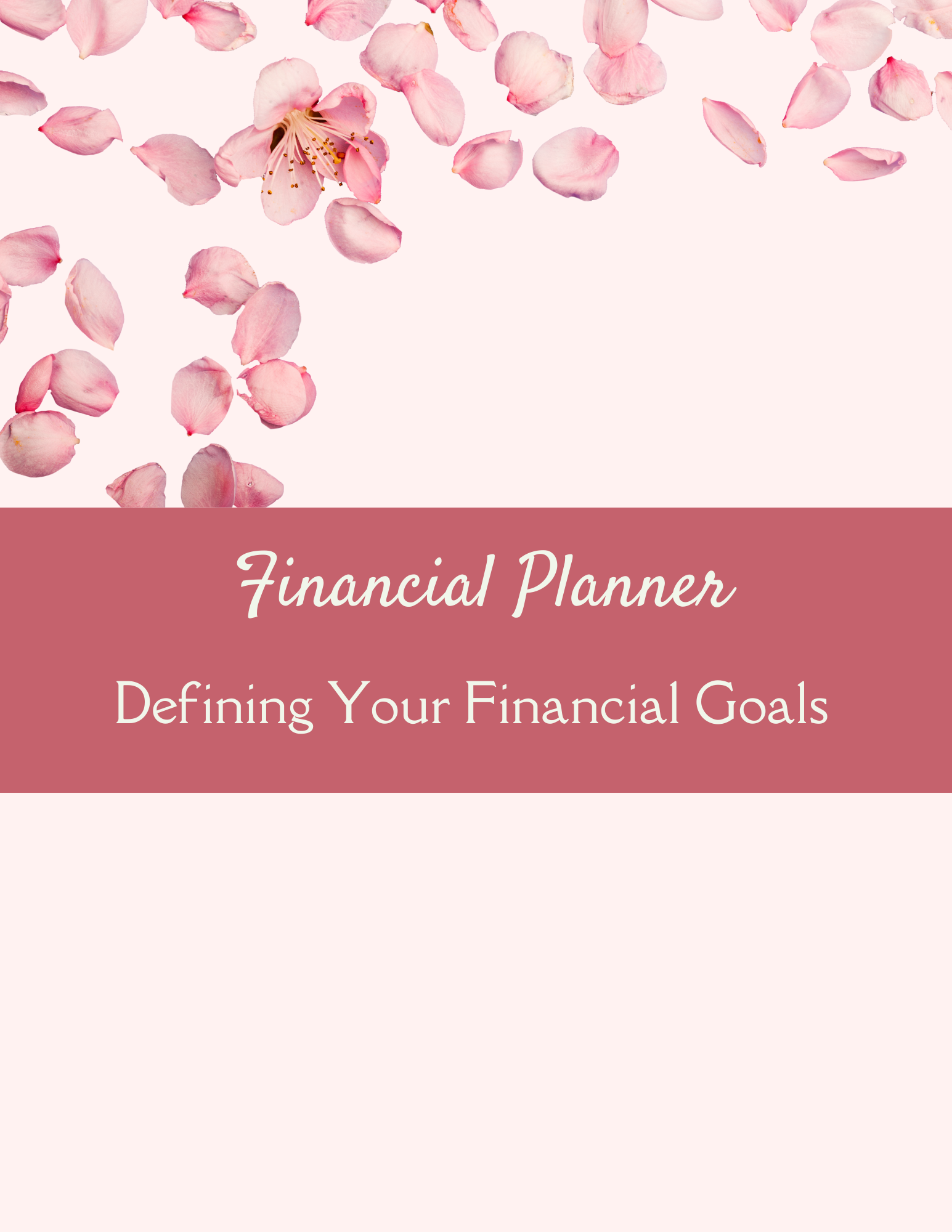 Financial Planner
