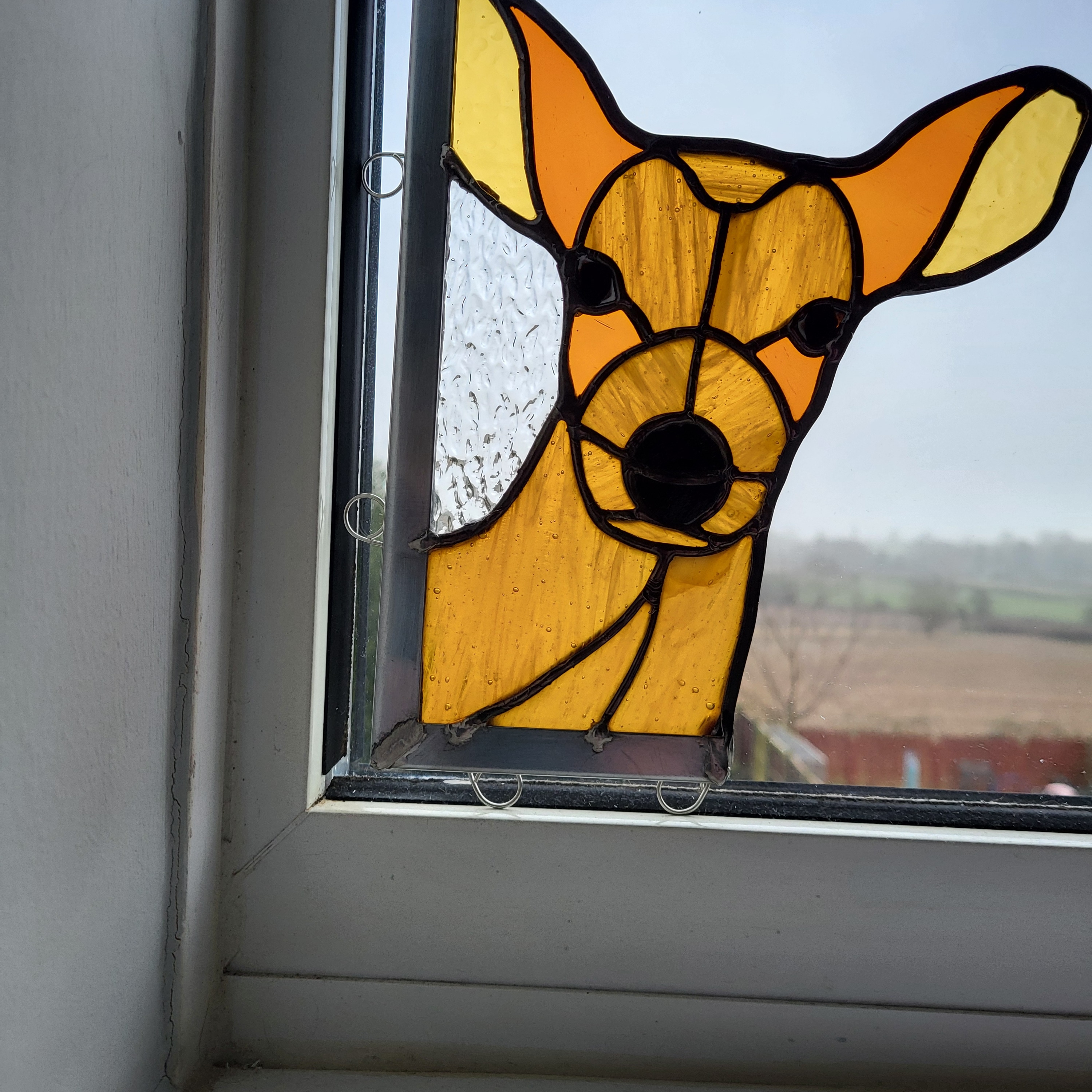 Peeking deer