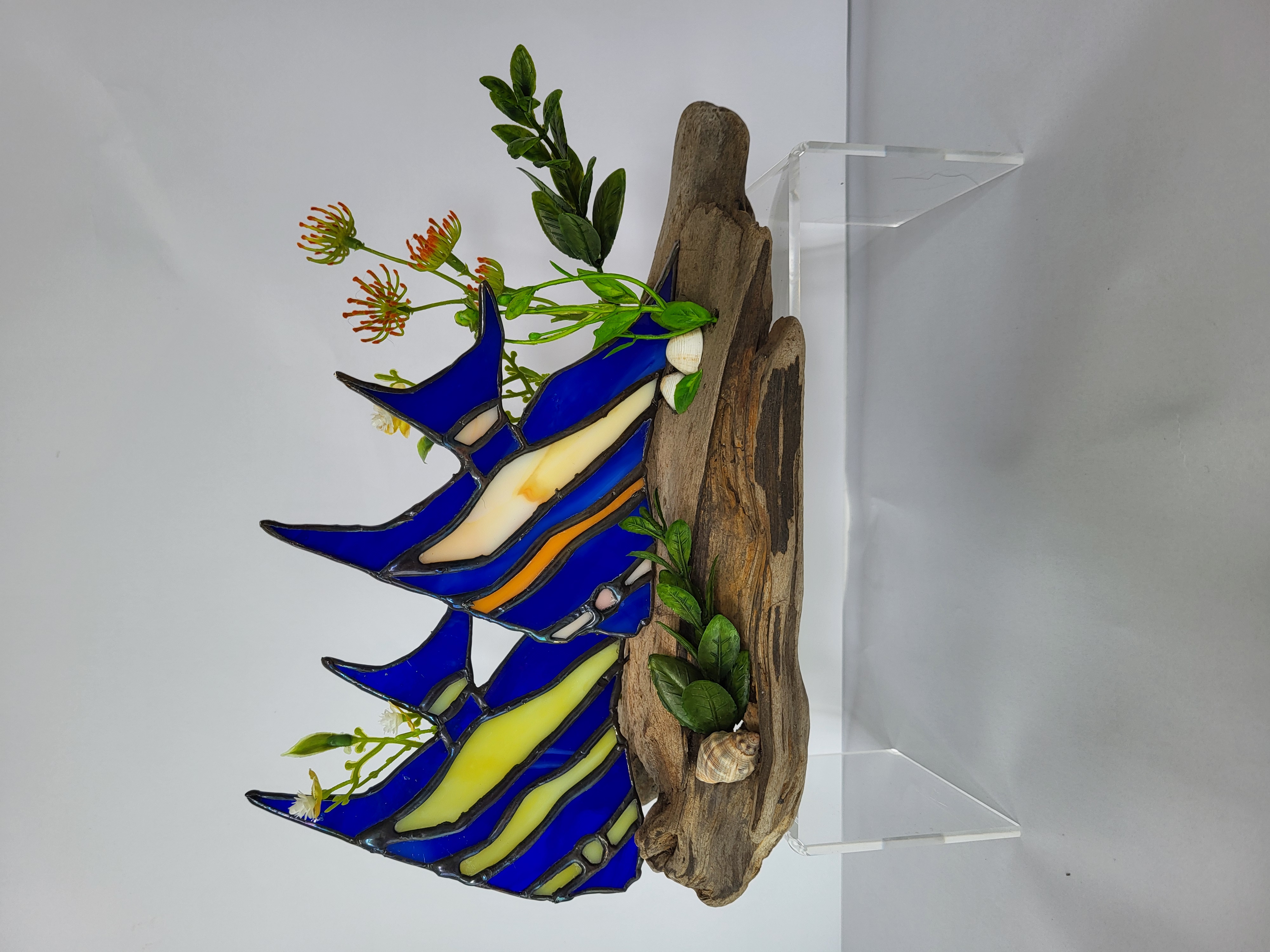 Tropical fish on driftwood