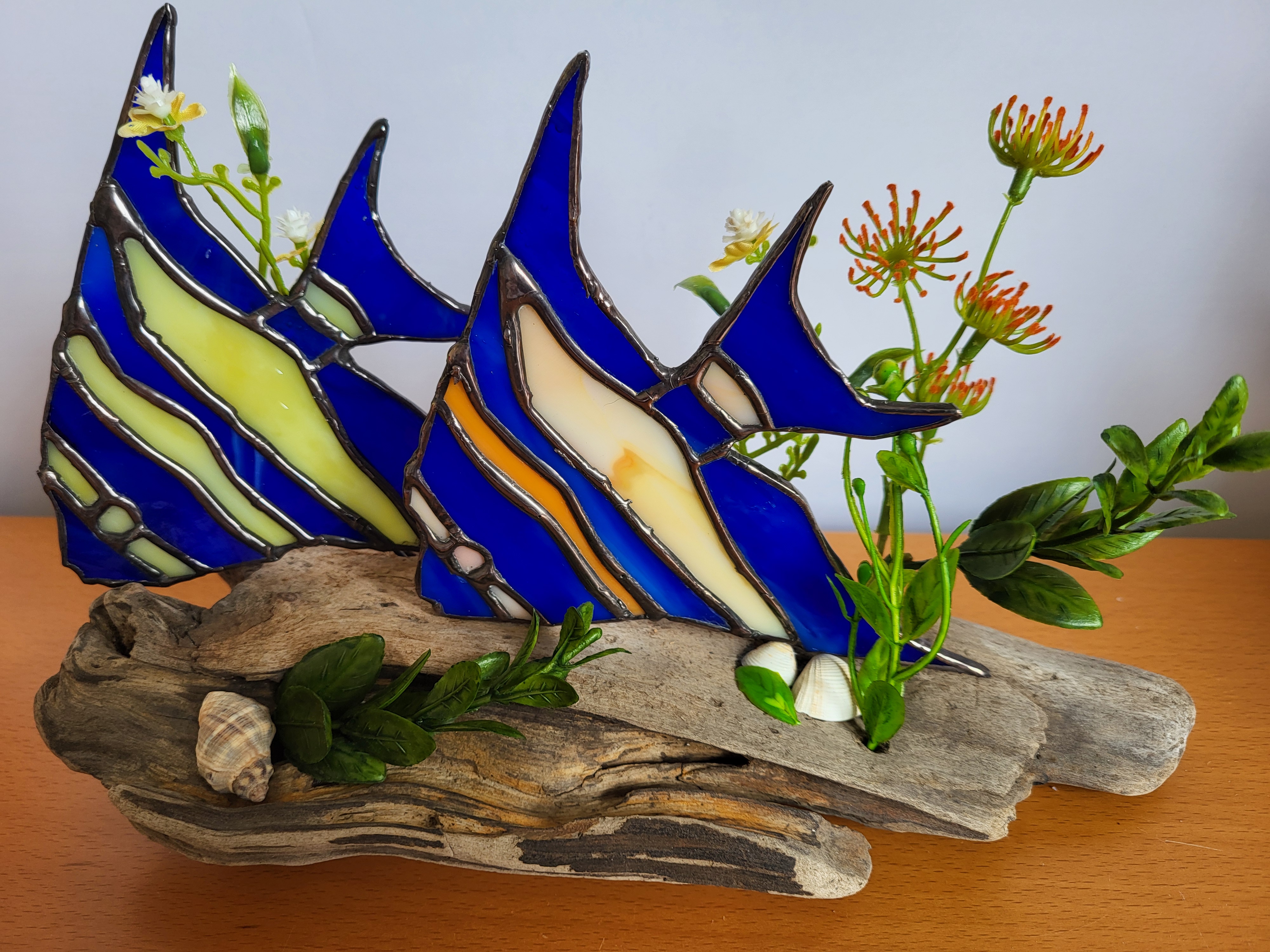 Tropical fish on driftwood