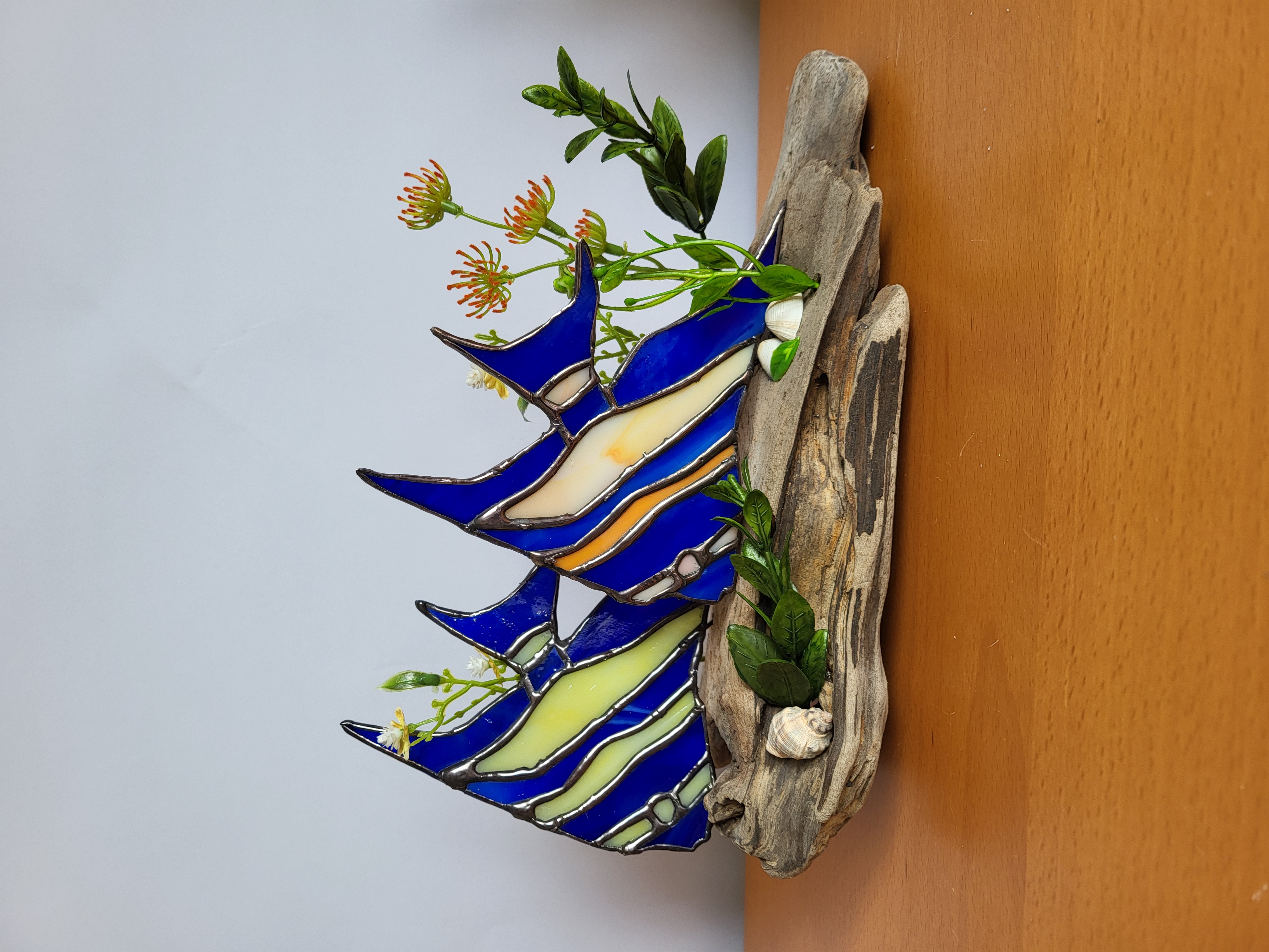 Tropical fish on driftwood