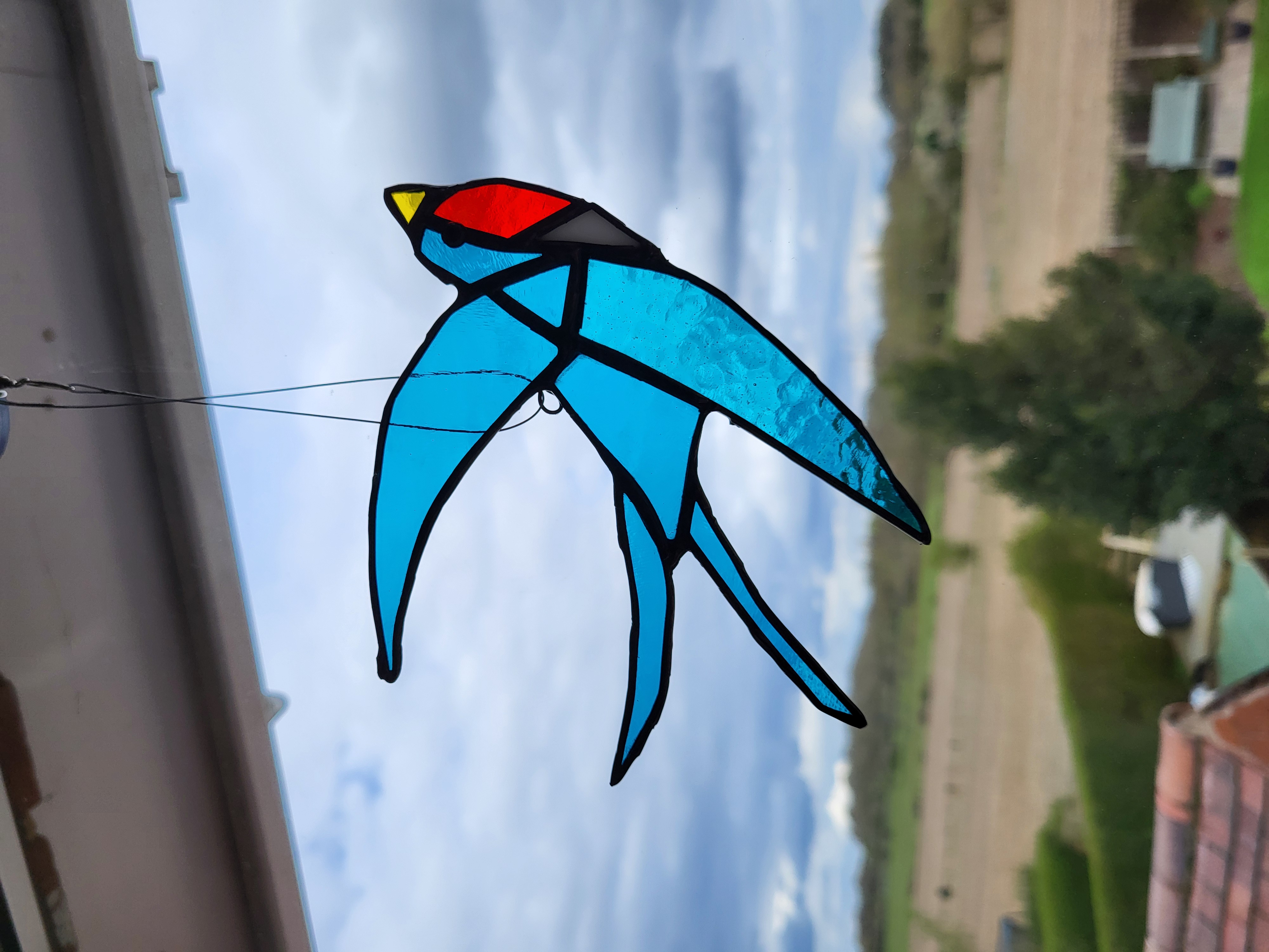 Swallow