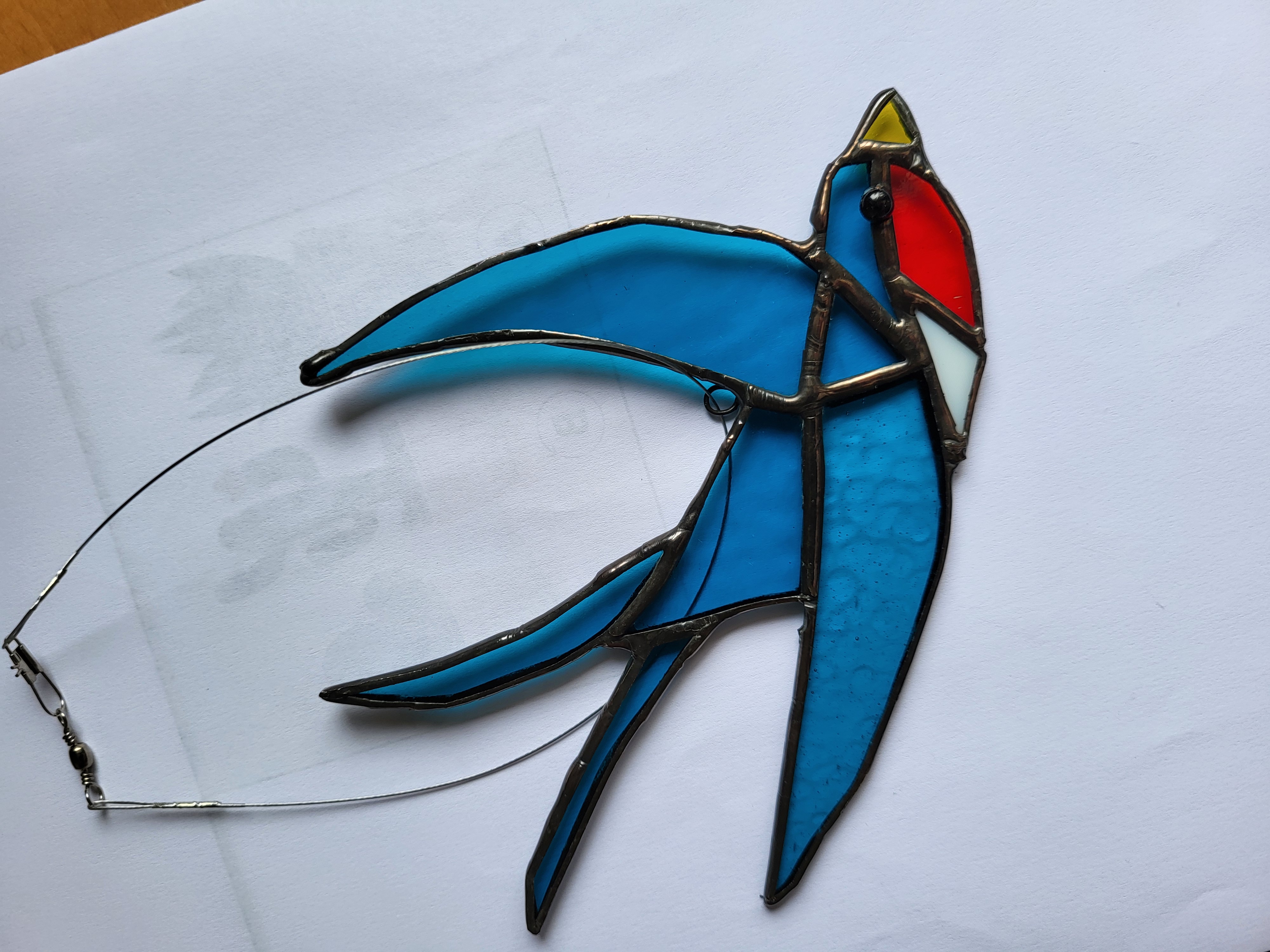 Swallow