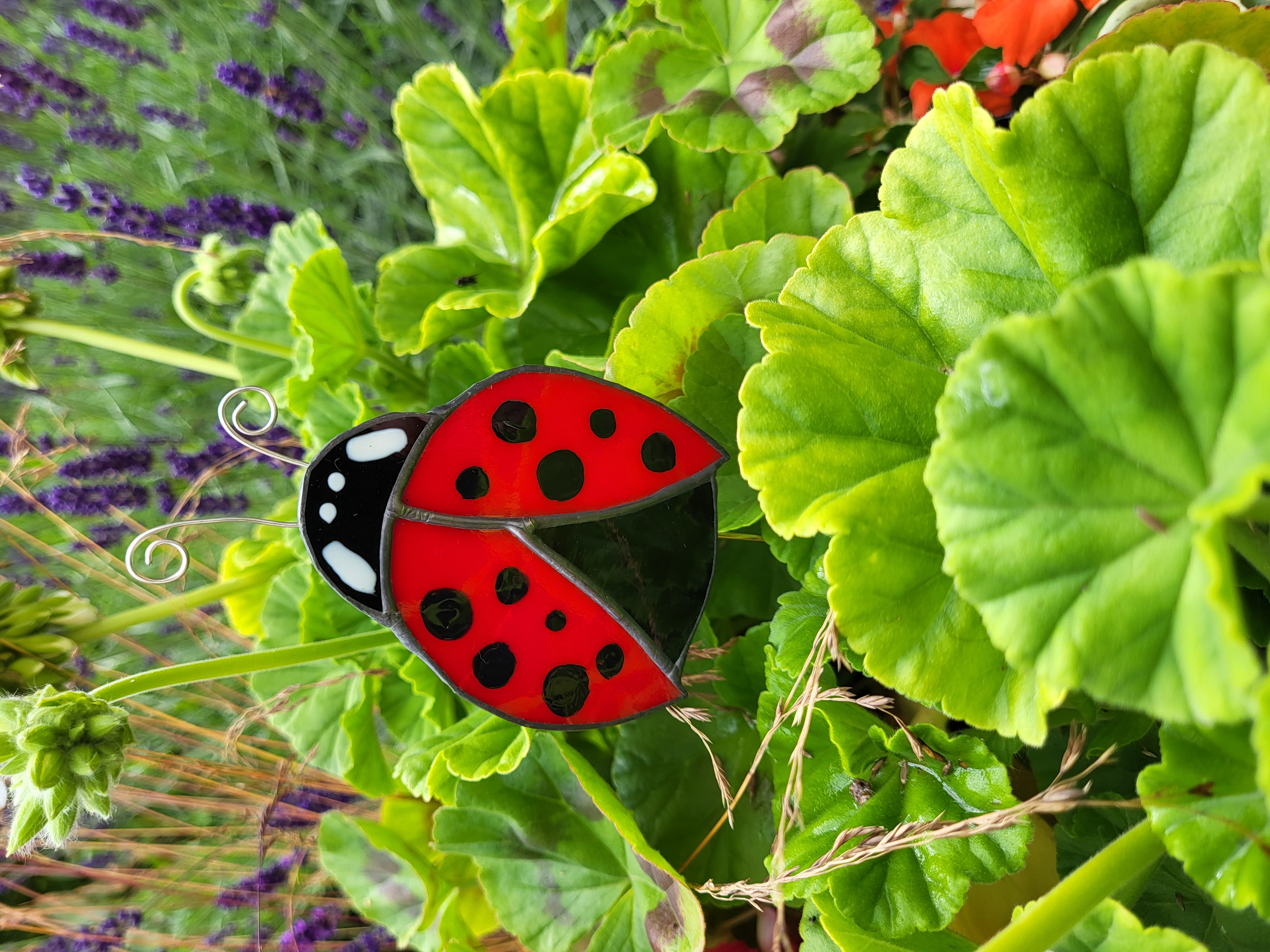 Ladybird Garden Stakes