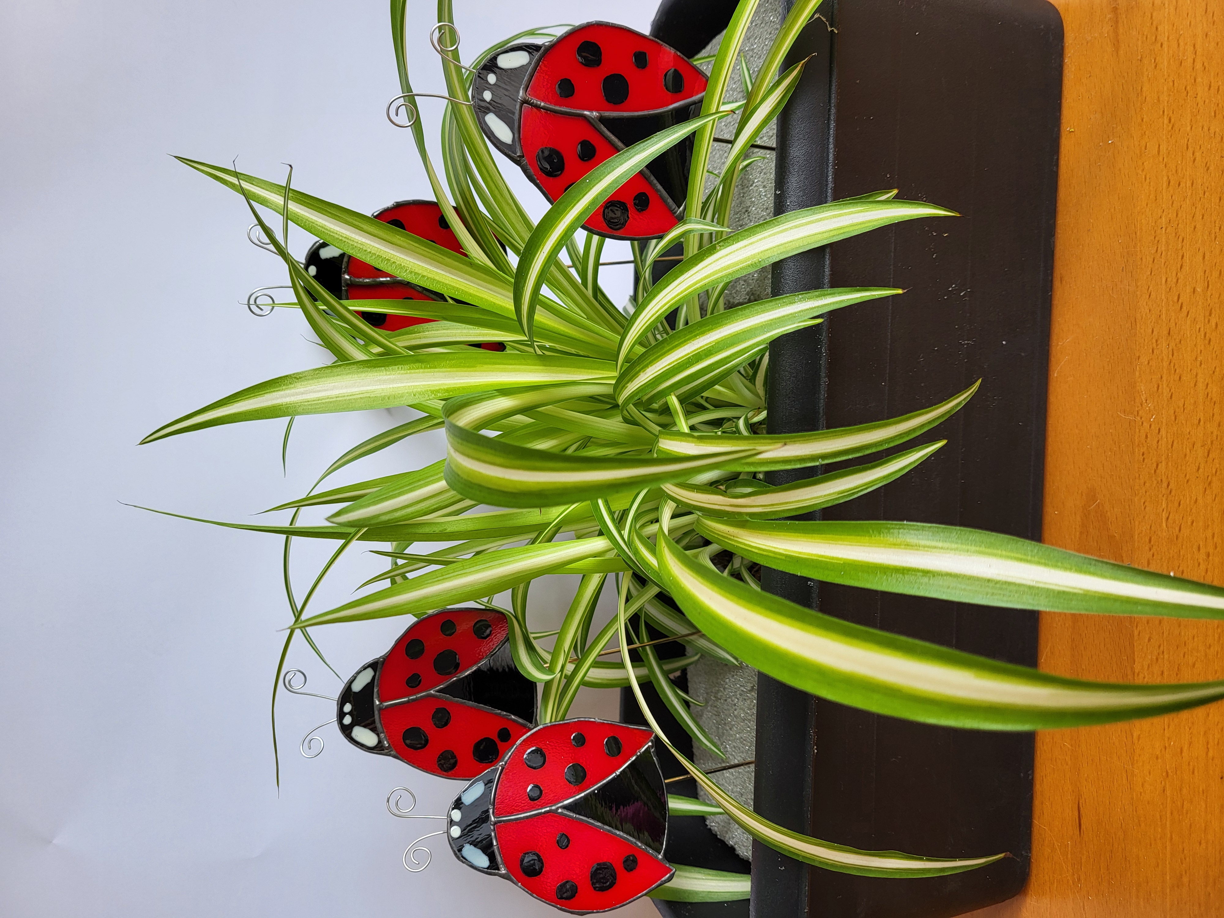 Ladybird Garden Stakes