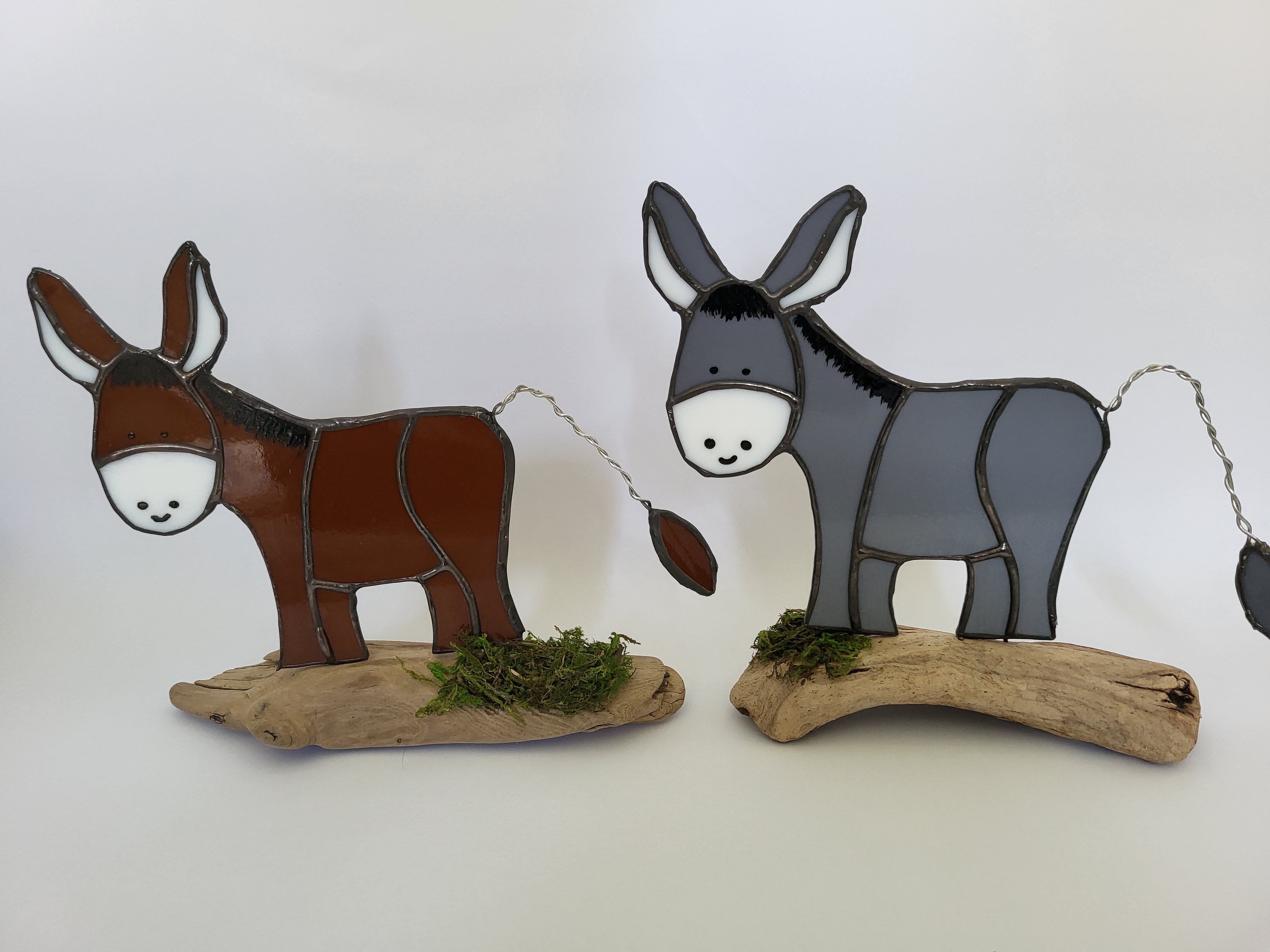 Donkeys on driftwood