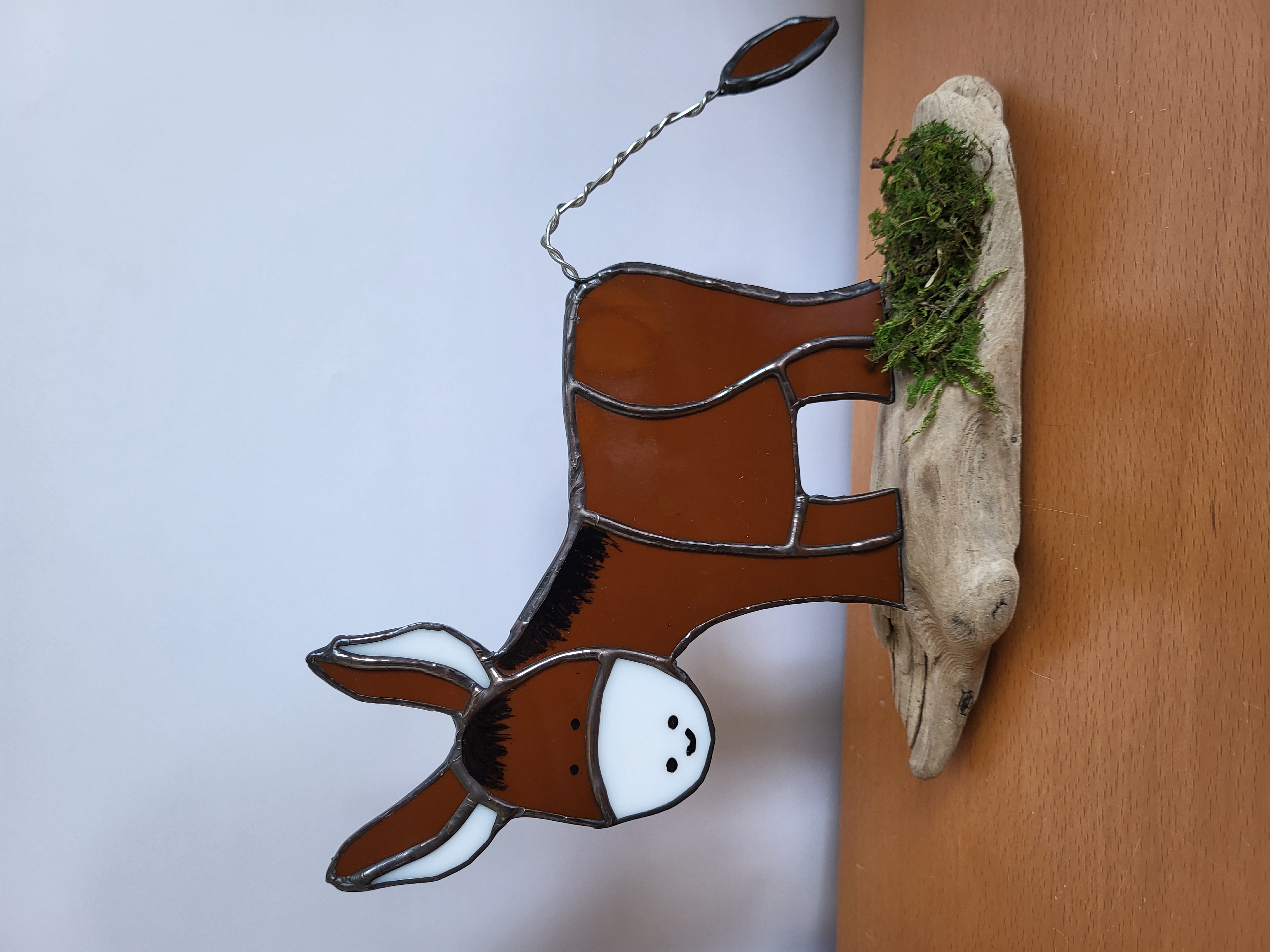 Donkeys on driftwood