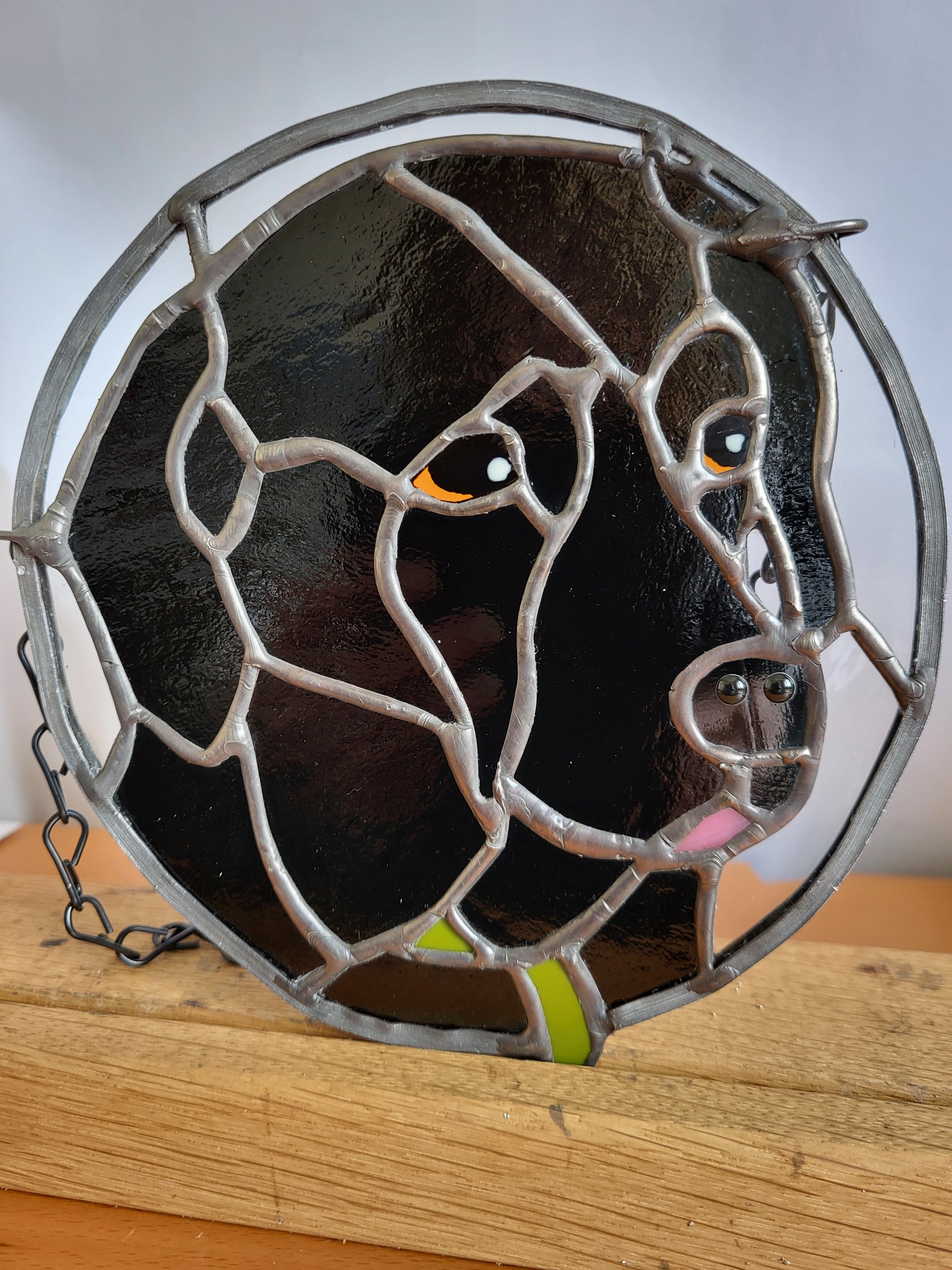 Black Labrador