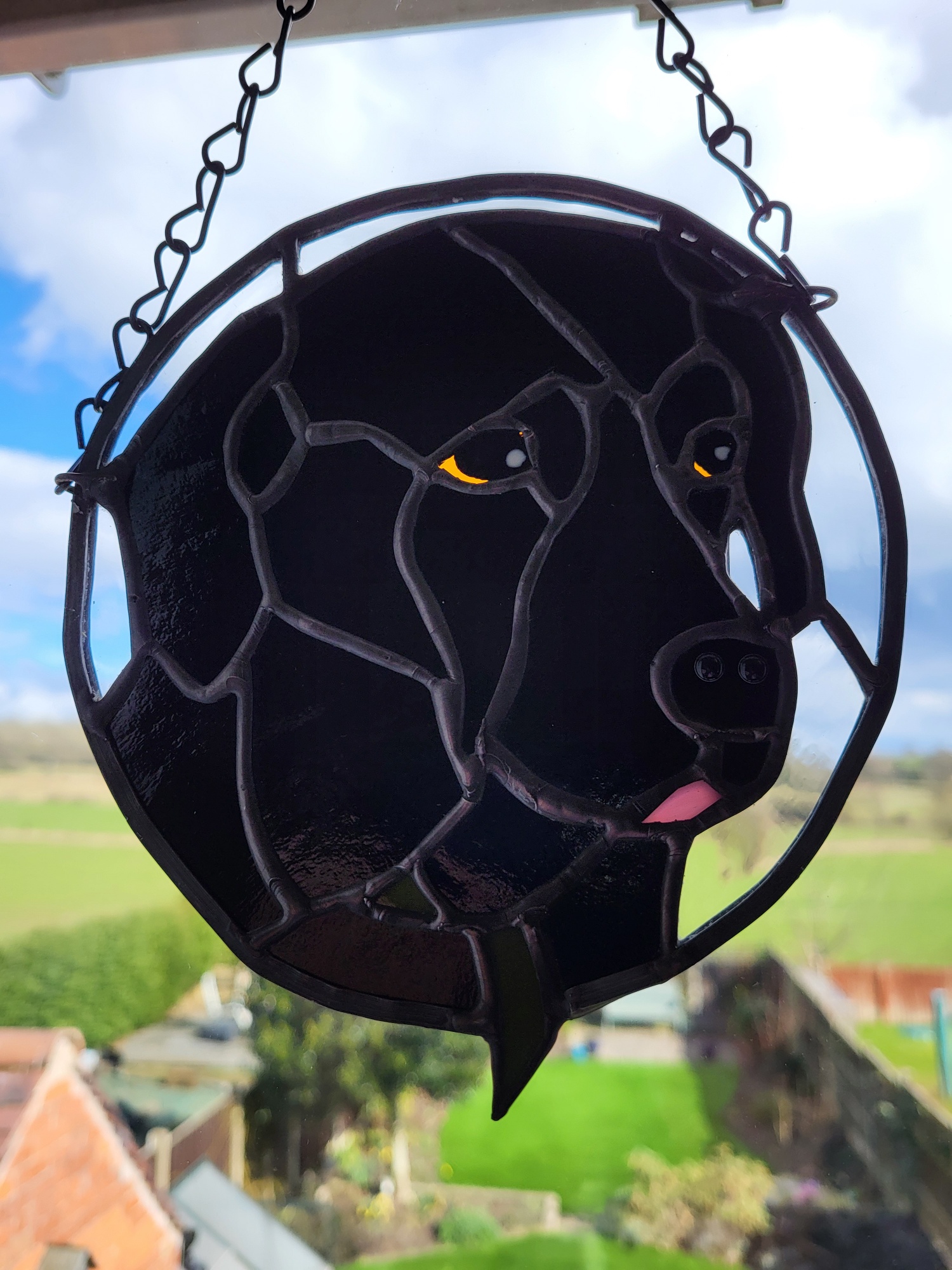 Black Labrador