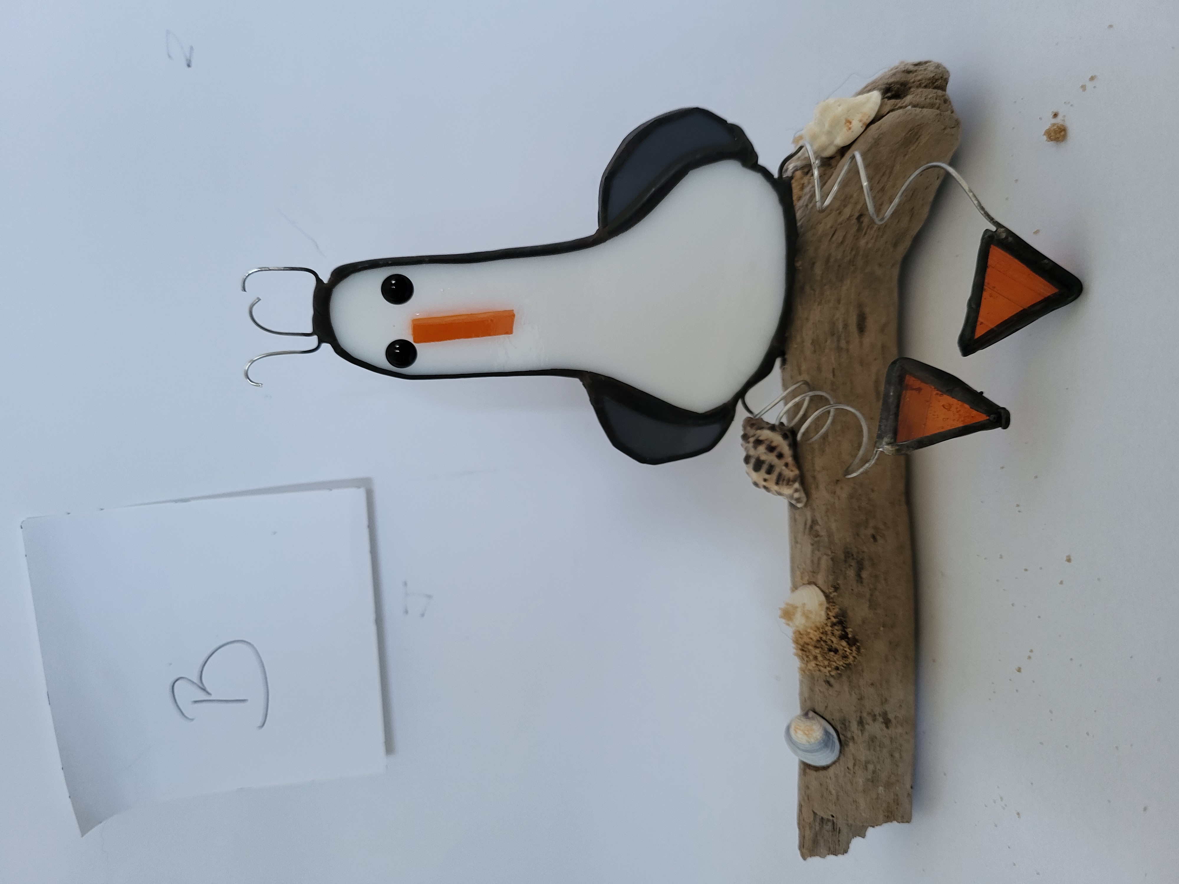 Seagulls on driftwood 