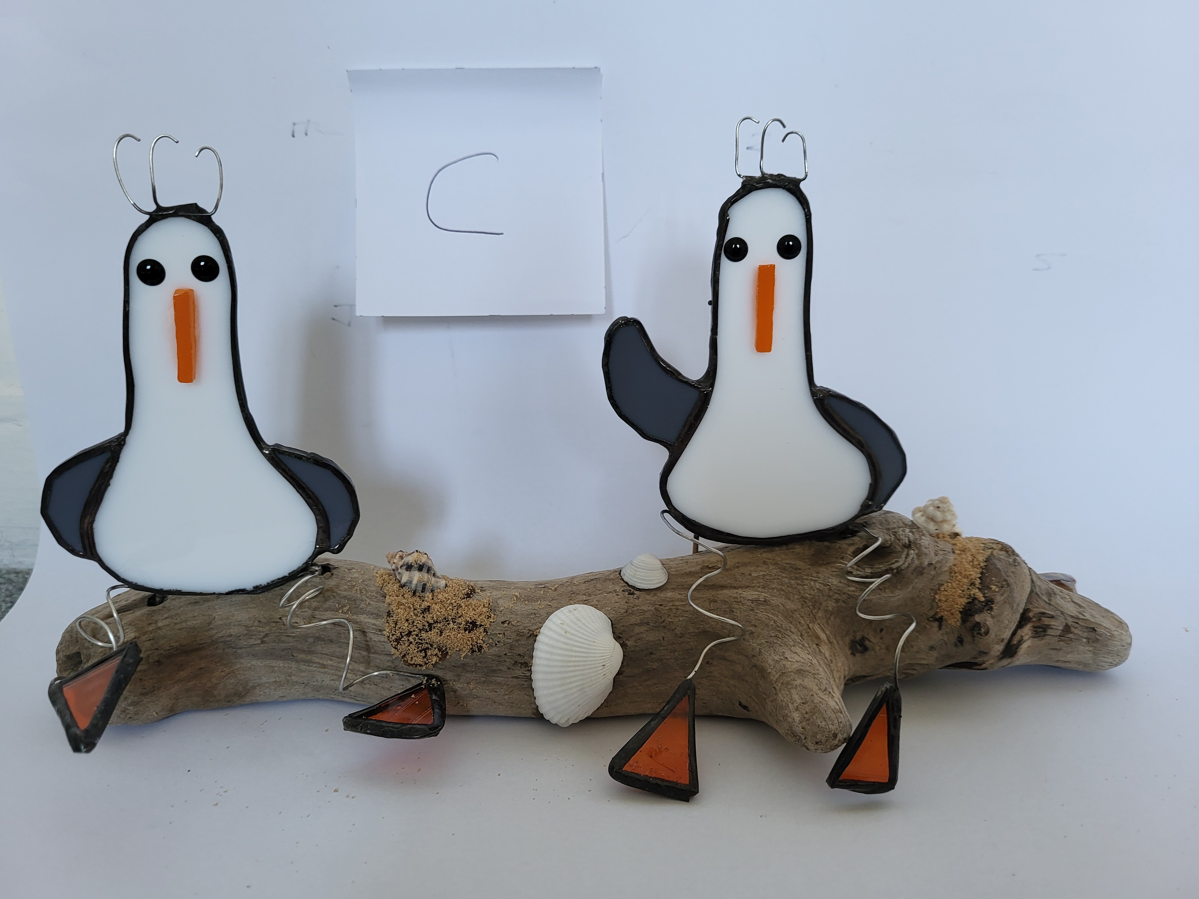 Seagulls on driftwood 
