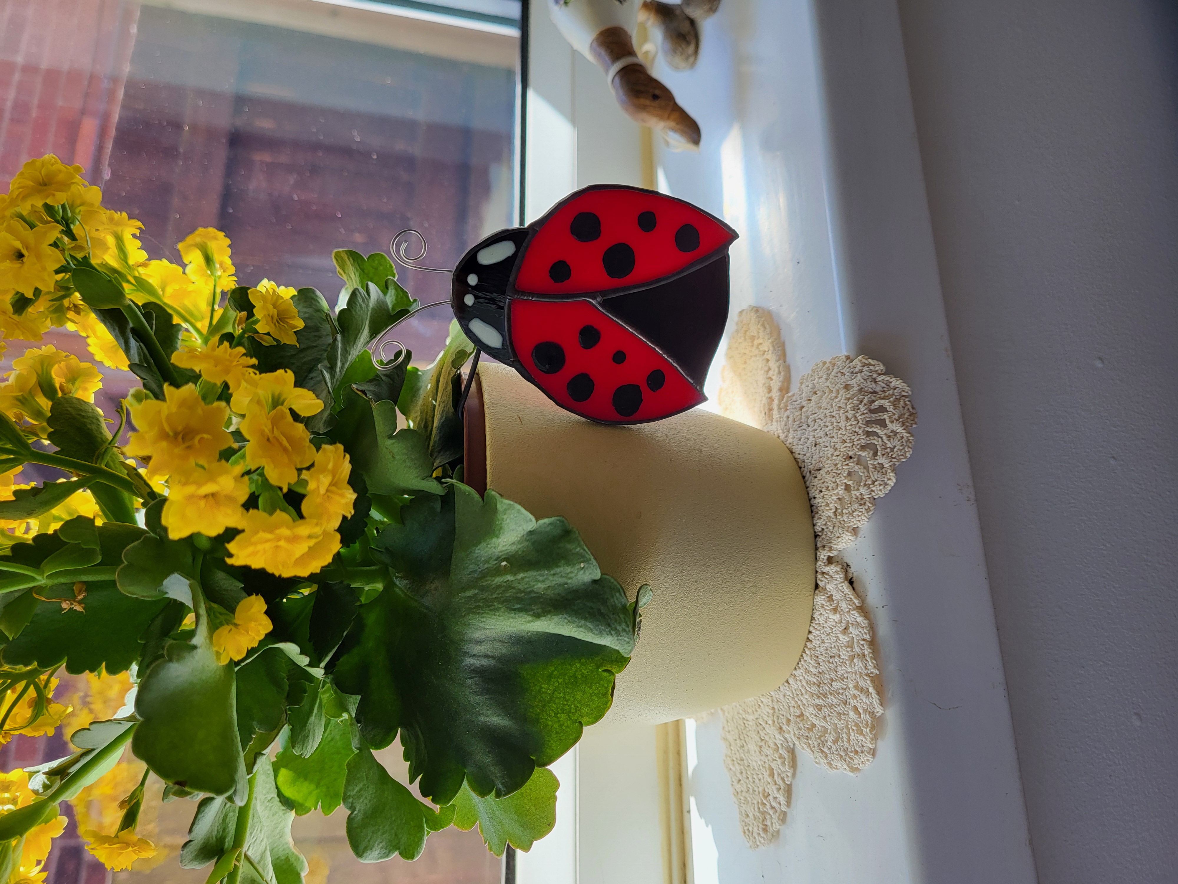 Ladybug plant pot hugger