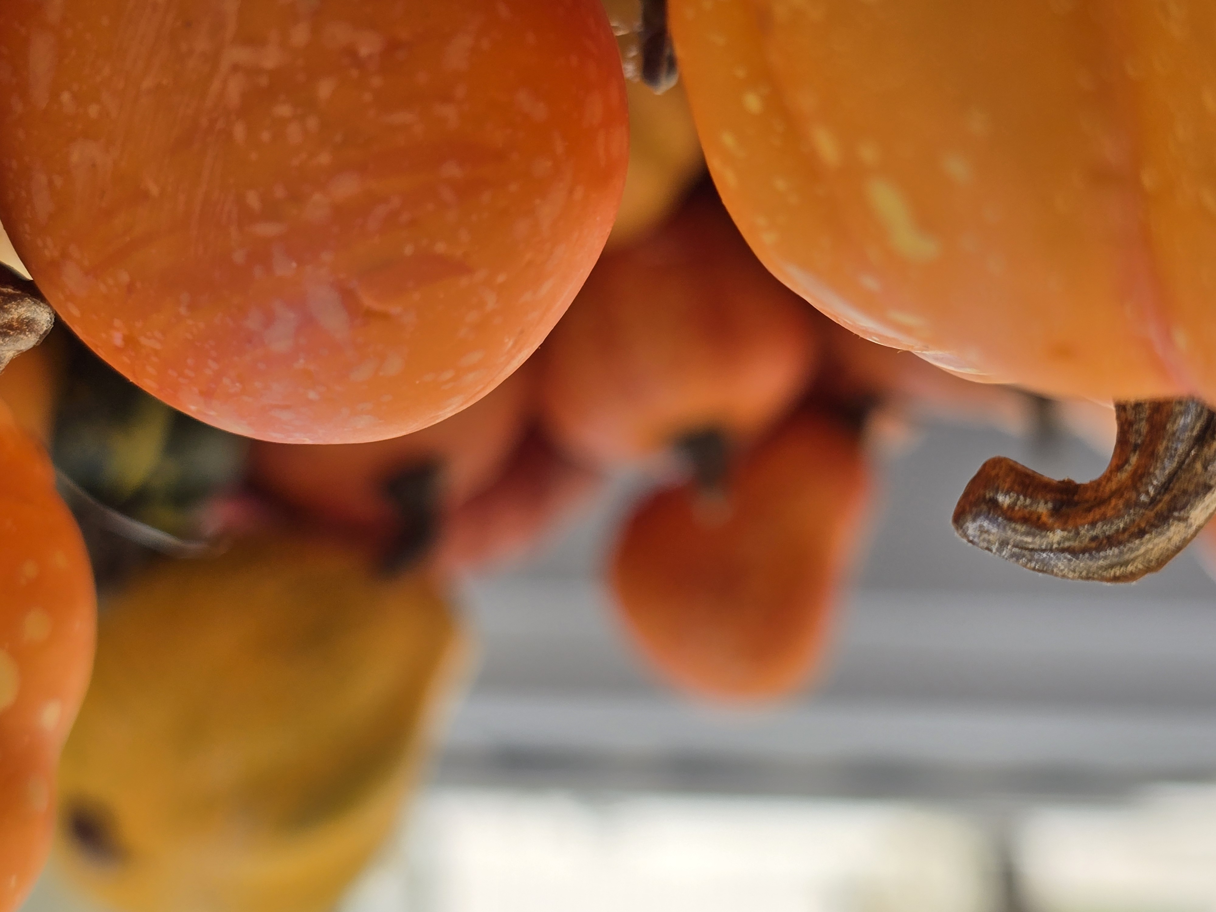 Autumn Decorative Pumpkin and Gourd Wreath