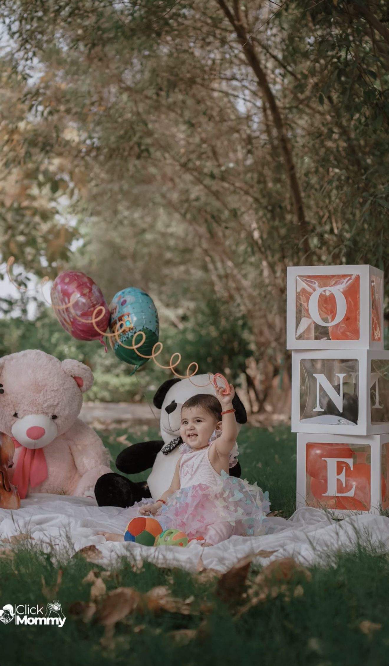 White Picnic Theme with panda