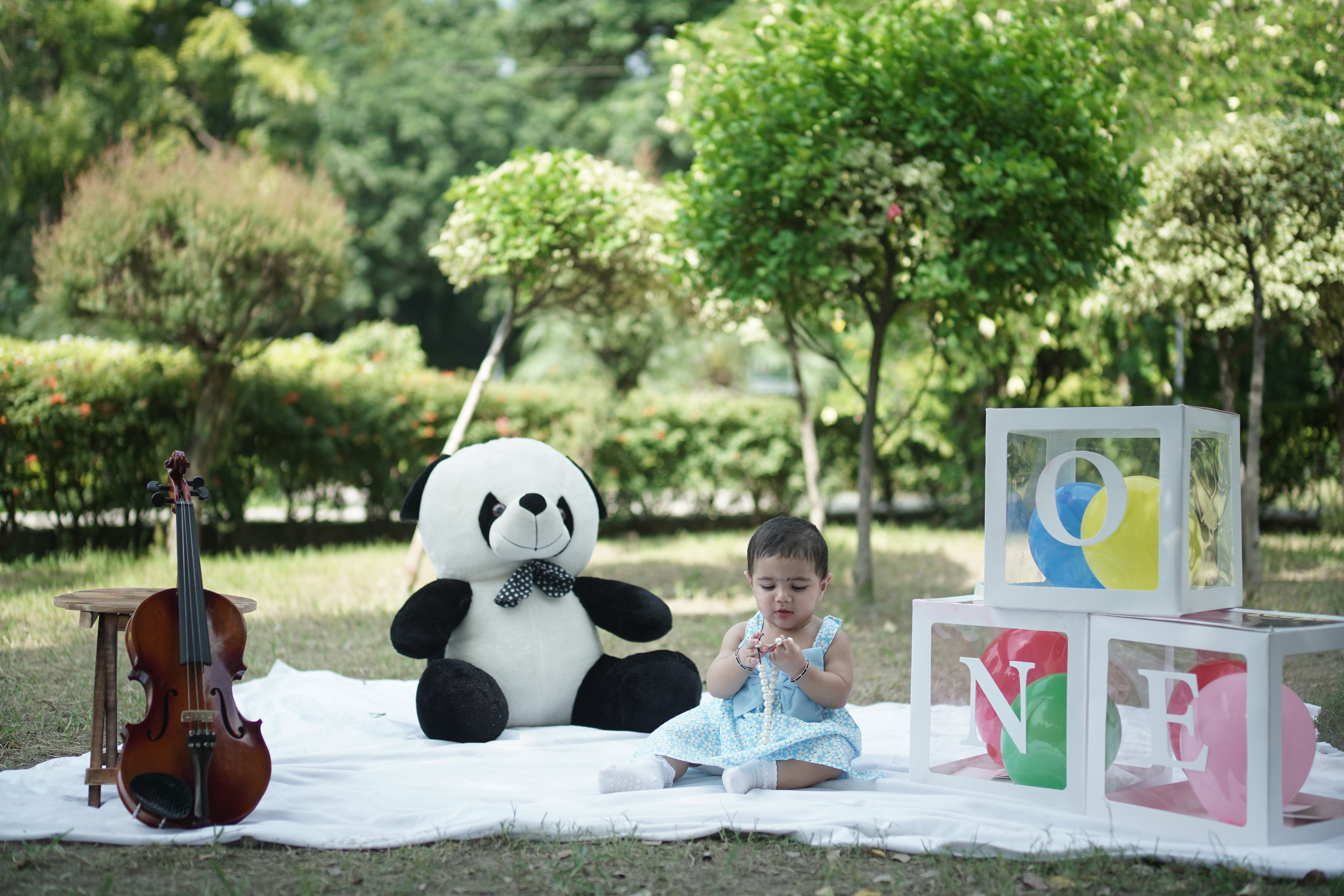 White Picnic Theme with panda