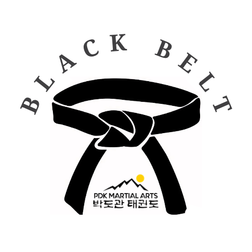 Black Belt Martial Arts Certification