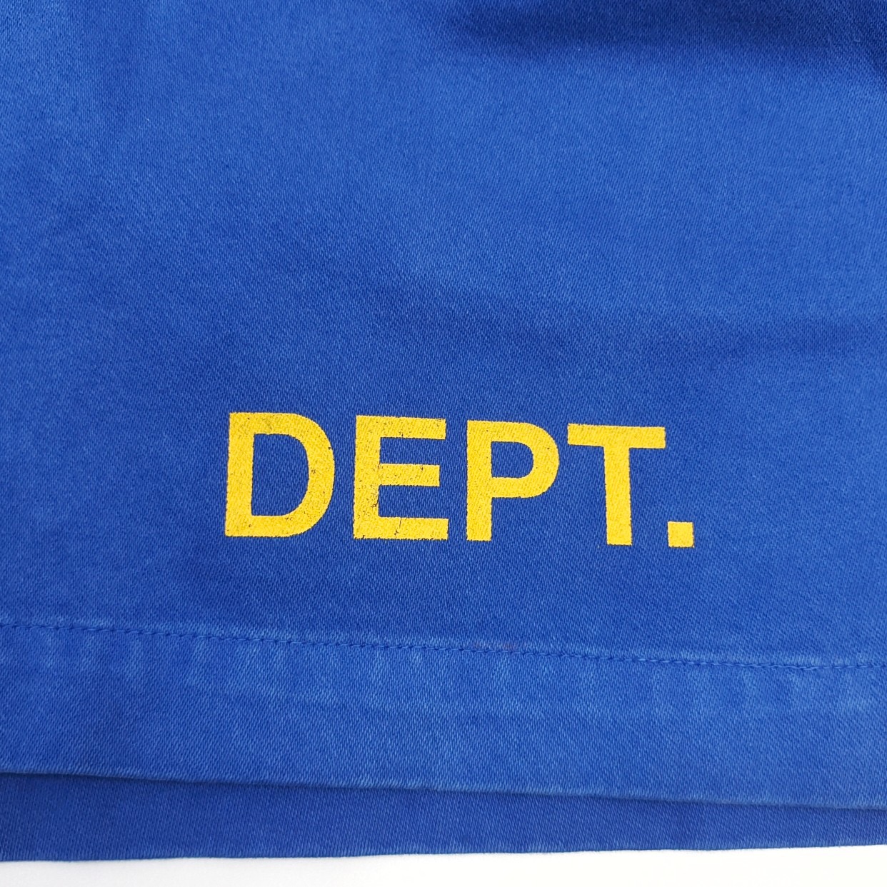 DEPT LOGO ZUMA SHORTS