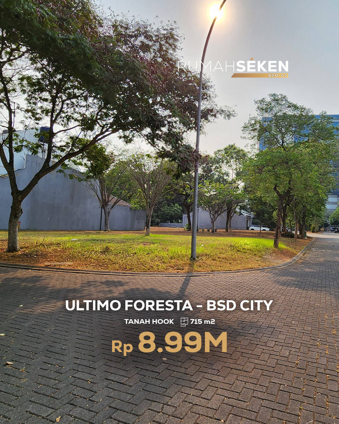 Ultimo Foresta - BSD City