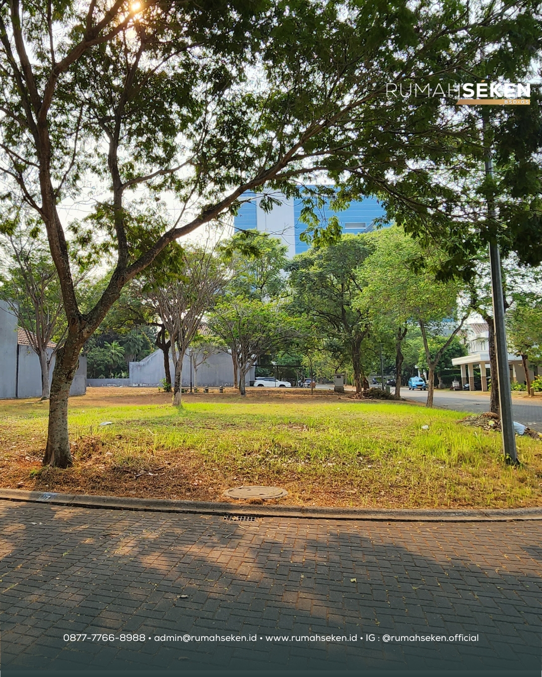 Ultimo Foresta - BSD City