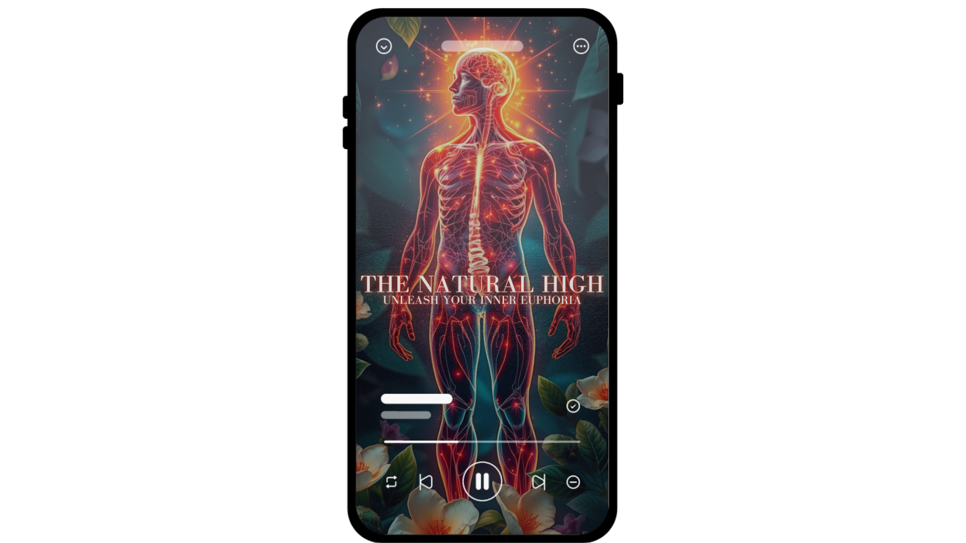 The Natural High 