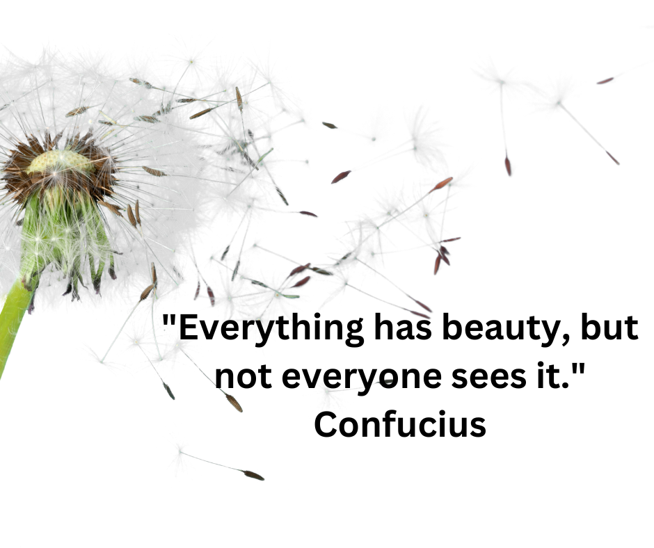 Elevate Your Social Media with 50 Custom Design Quotes!