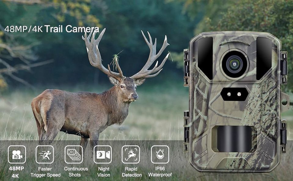 Cámara videotrampeo