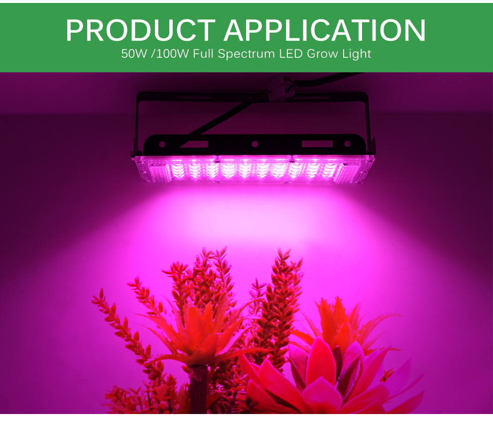 Focos Grow Light ( crecimiento plantas ) LED interiores y exteriores 