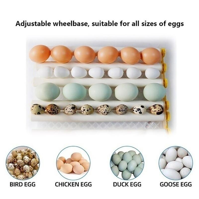 Incubadora automática 16 huevos